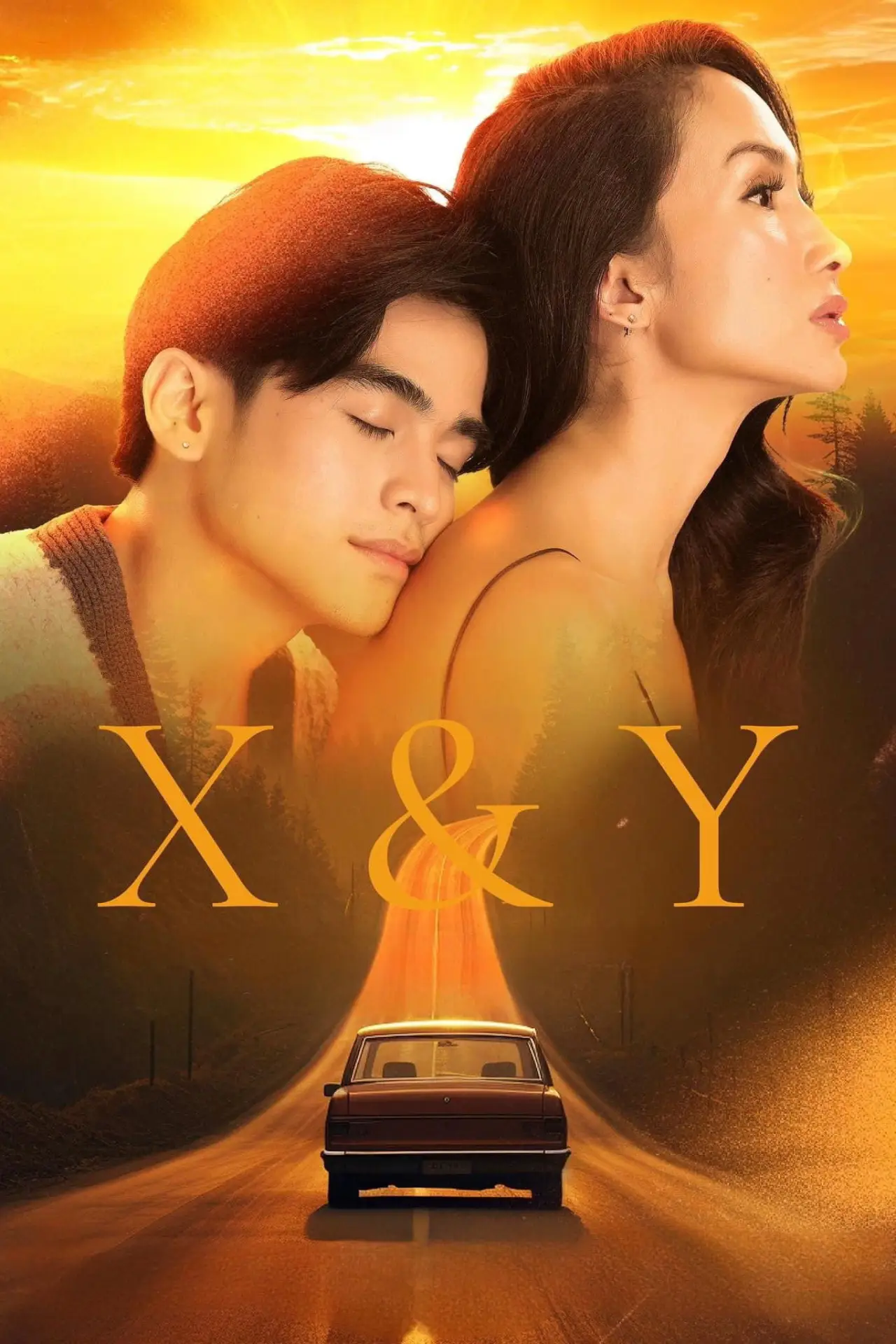 Постер к фильму "X&Y"