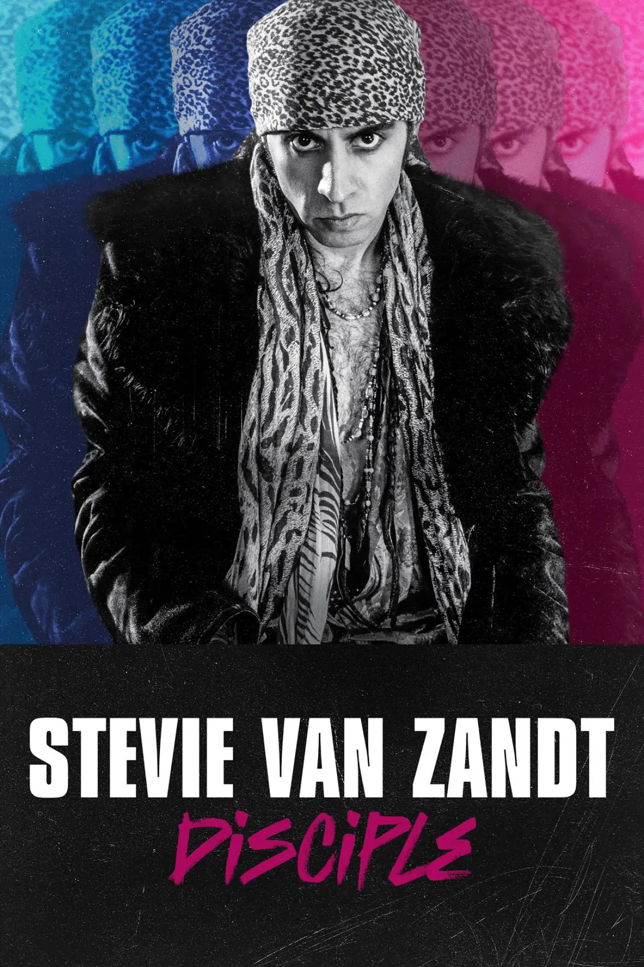Постер к фильму "Stevie Van Zandt: Disciple"