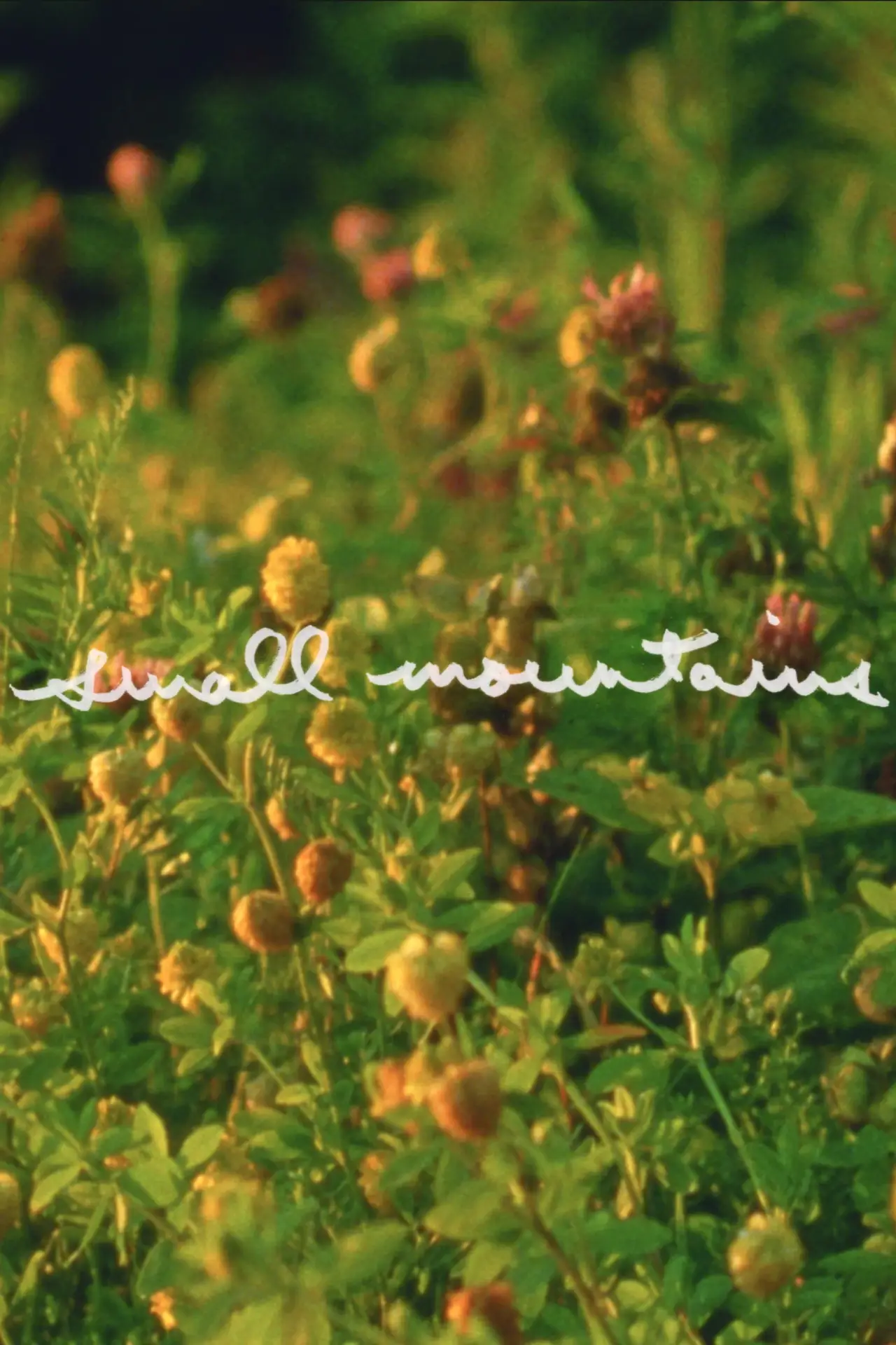 Постер к фильму "Small Mountains"