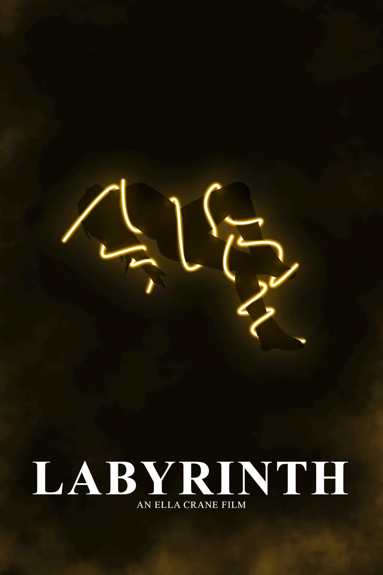 Постер к фильму "Labyrinth"