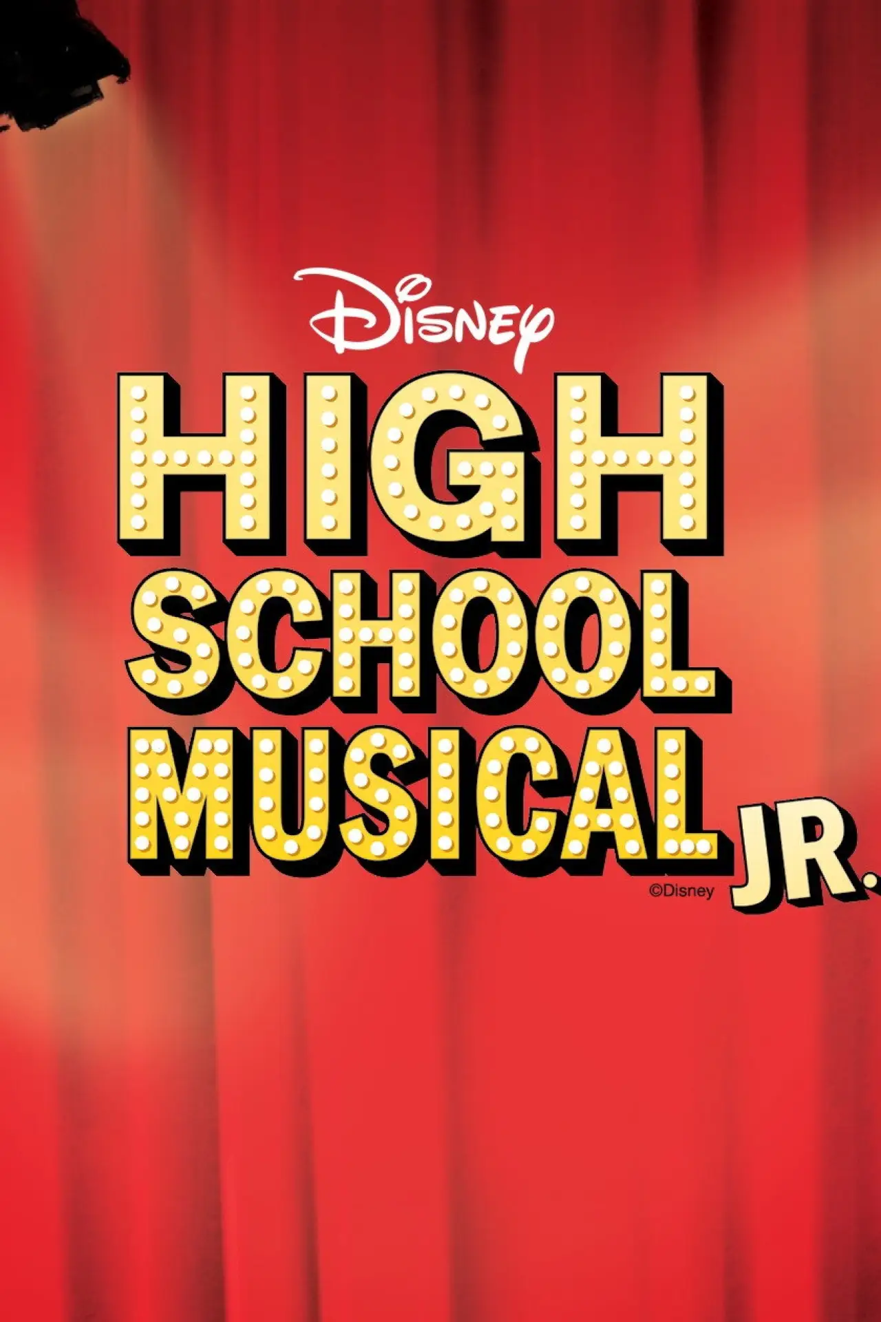 Постер к фильму "High School Musical Junior"