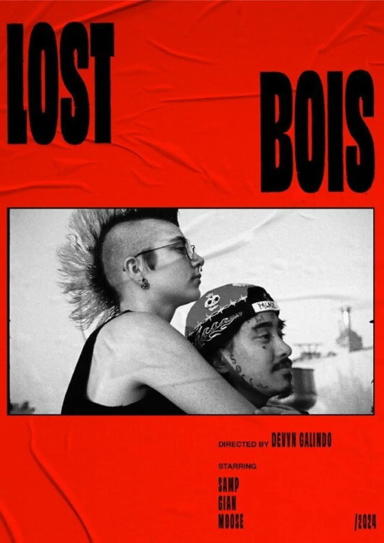 Постер к фильму "Lost Bois"
