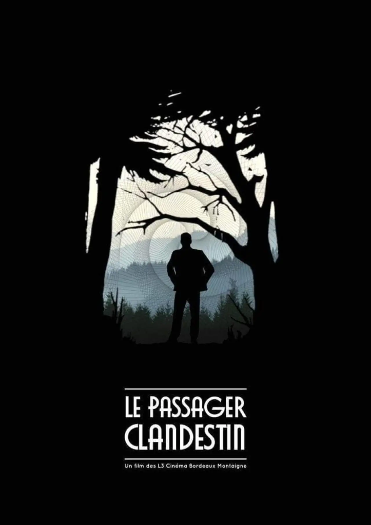 Постер к фильму "Le Passager Clandestin"