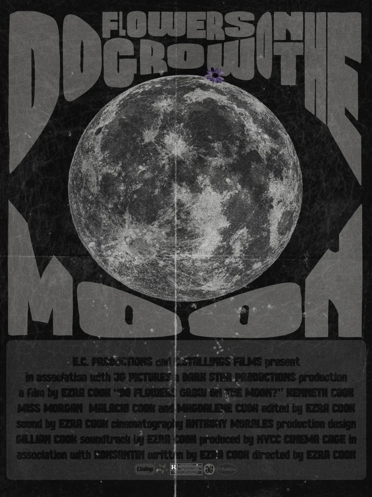 Постер к фильму "Do Flowers Grow on the Moon?"