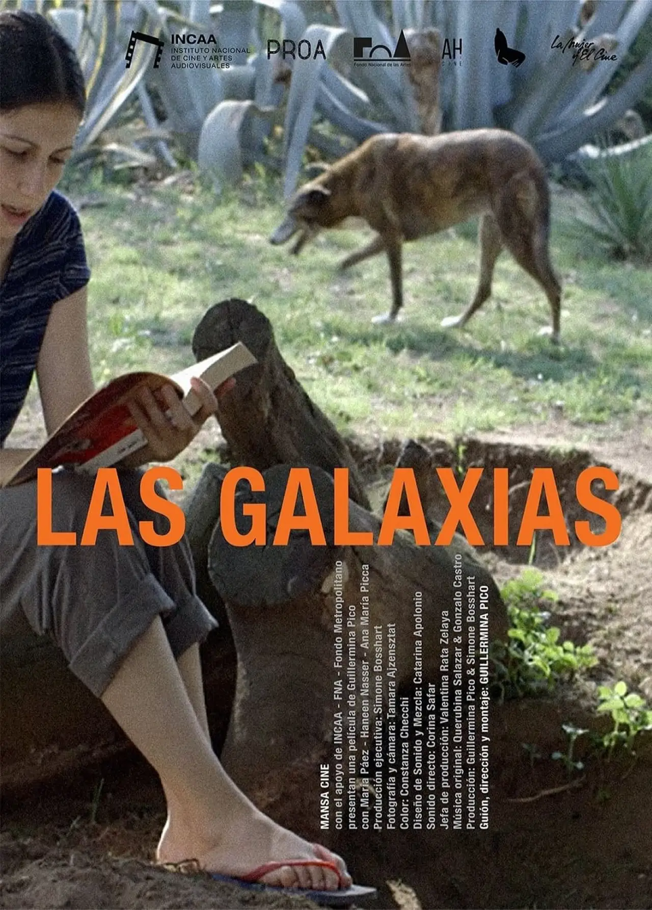 Постер к фильму "Las Galaxias"