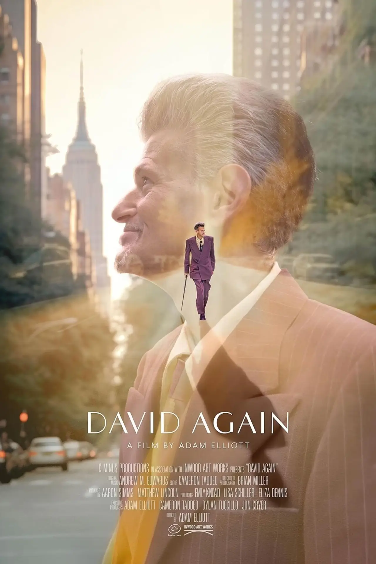 Постер к фильму "David Again"