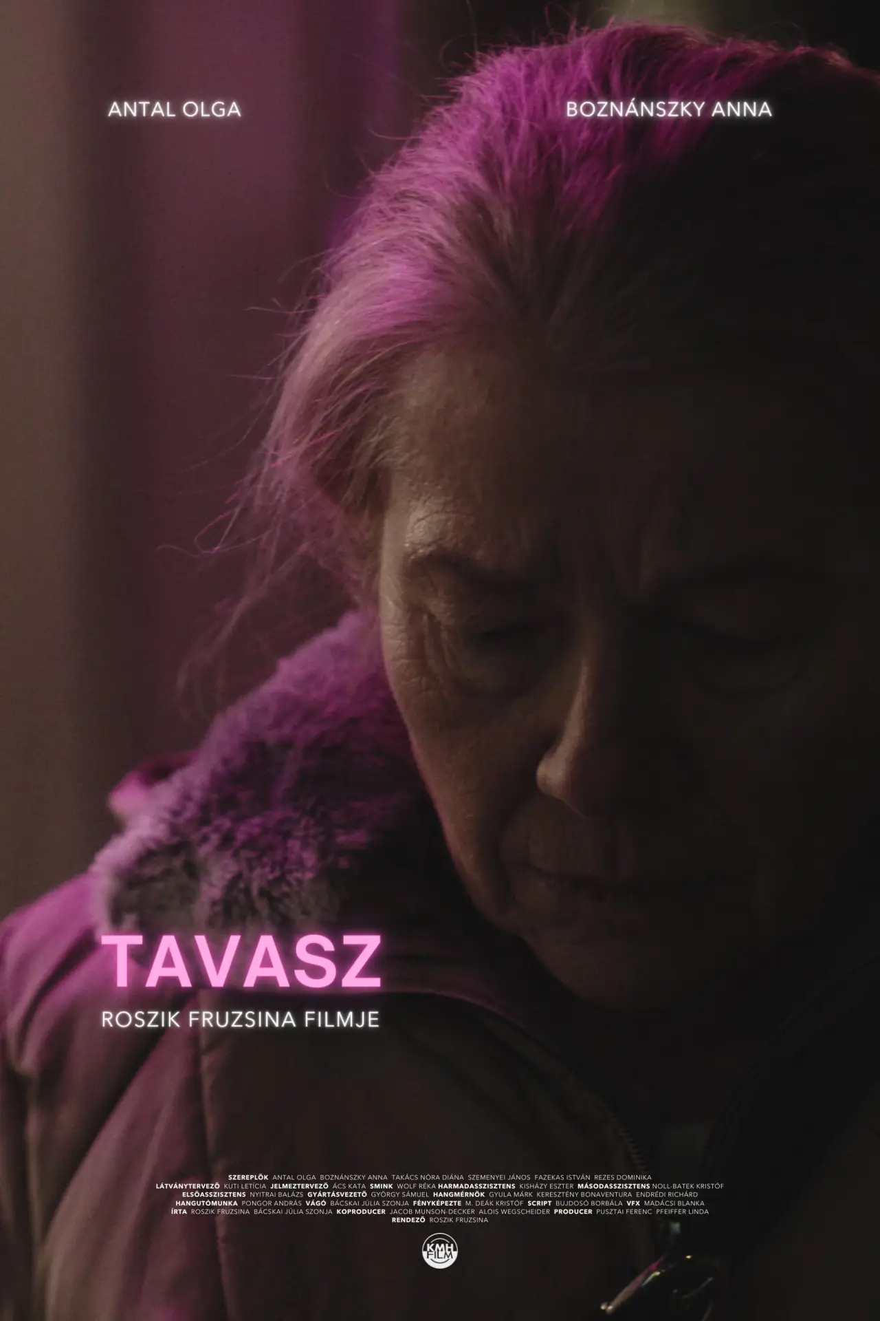 Постер к фильму "Tavasz"