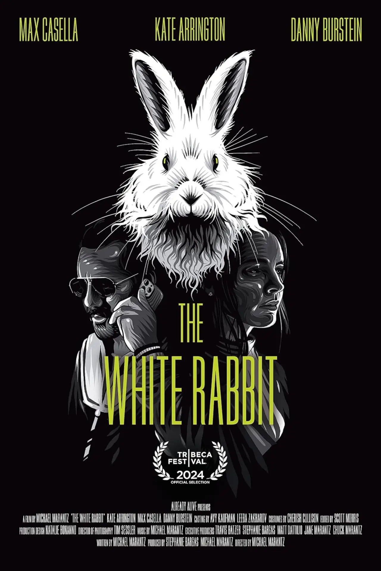 Постер к фильму "The White Rabbit"
