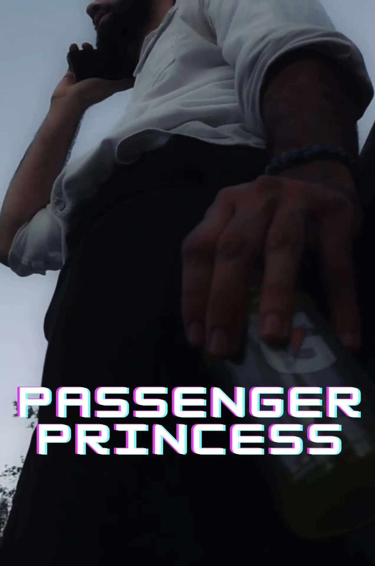 Постер к фильму "Passenger Princess"