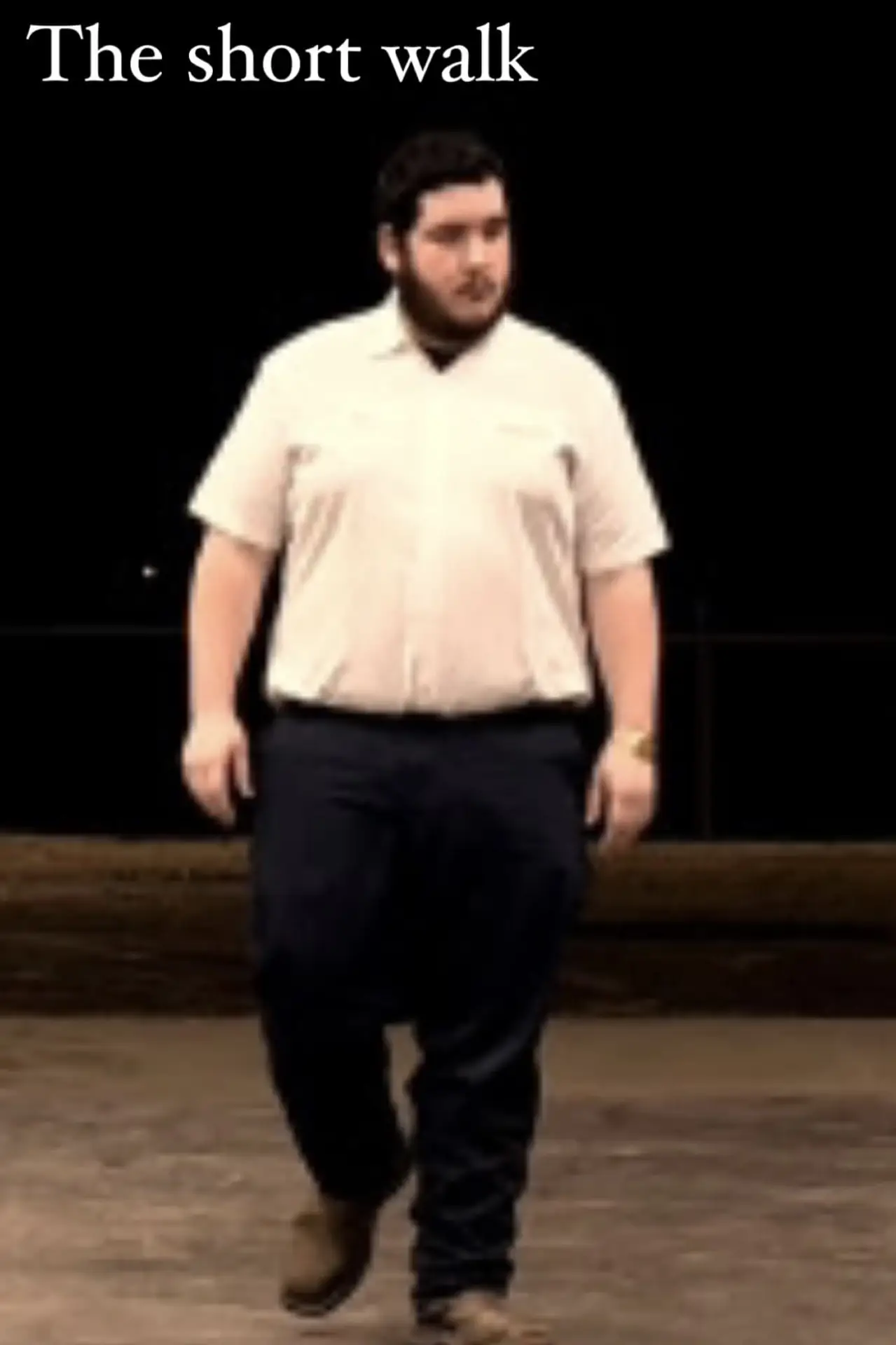 Постер к фильму "The Short Walk"