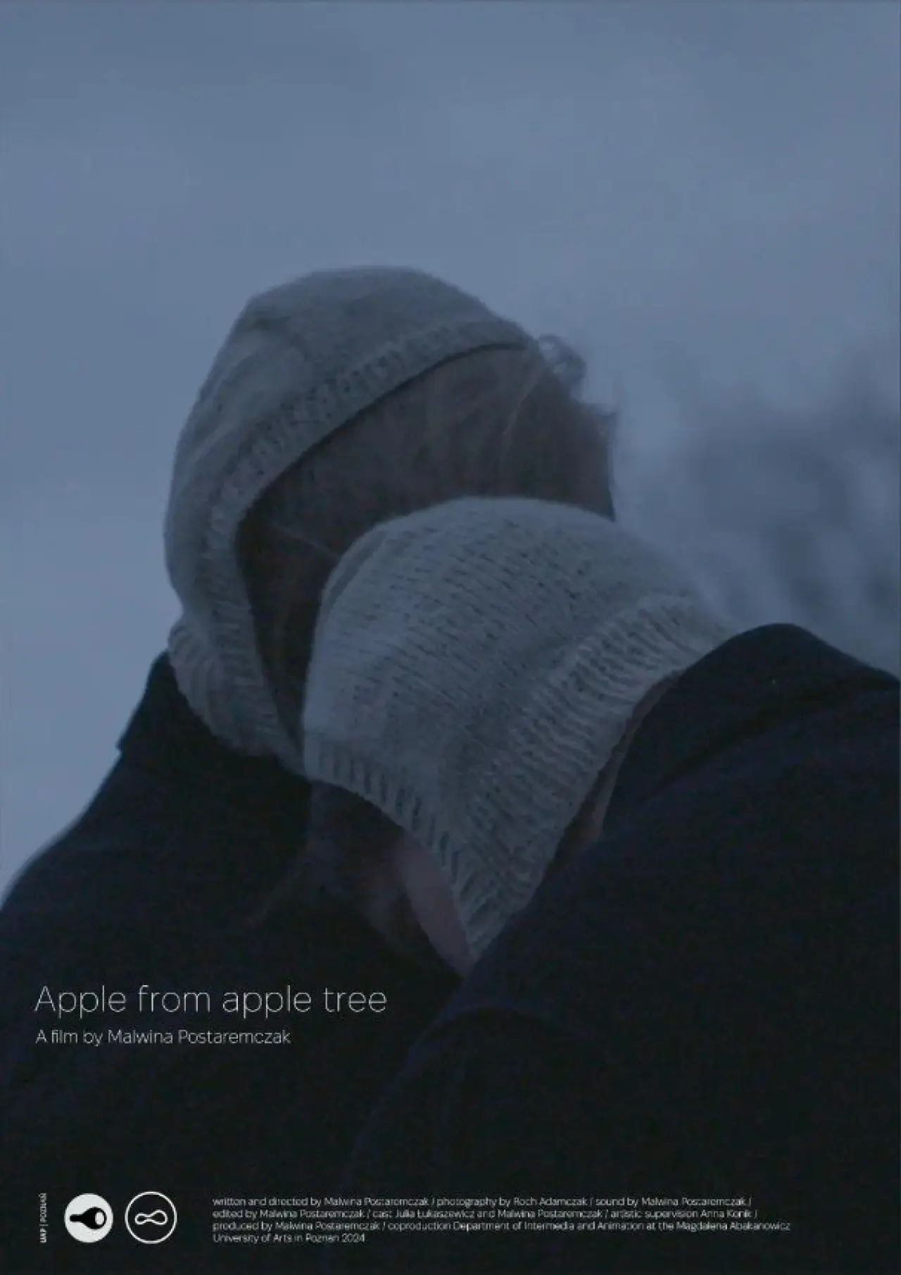Постер к фильму "Apple from apple tree"