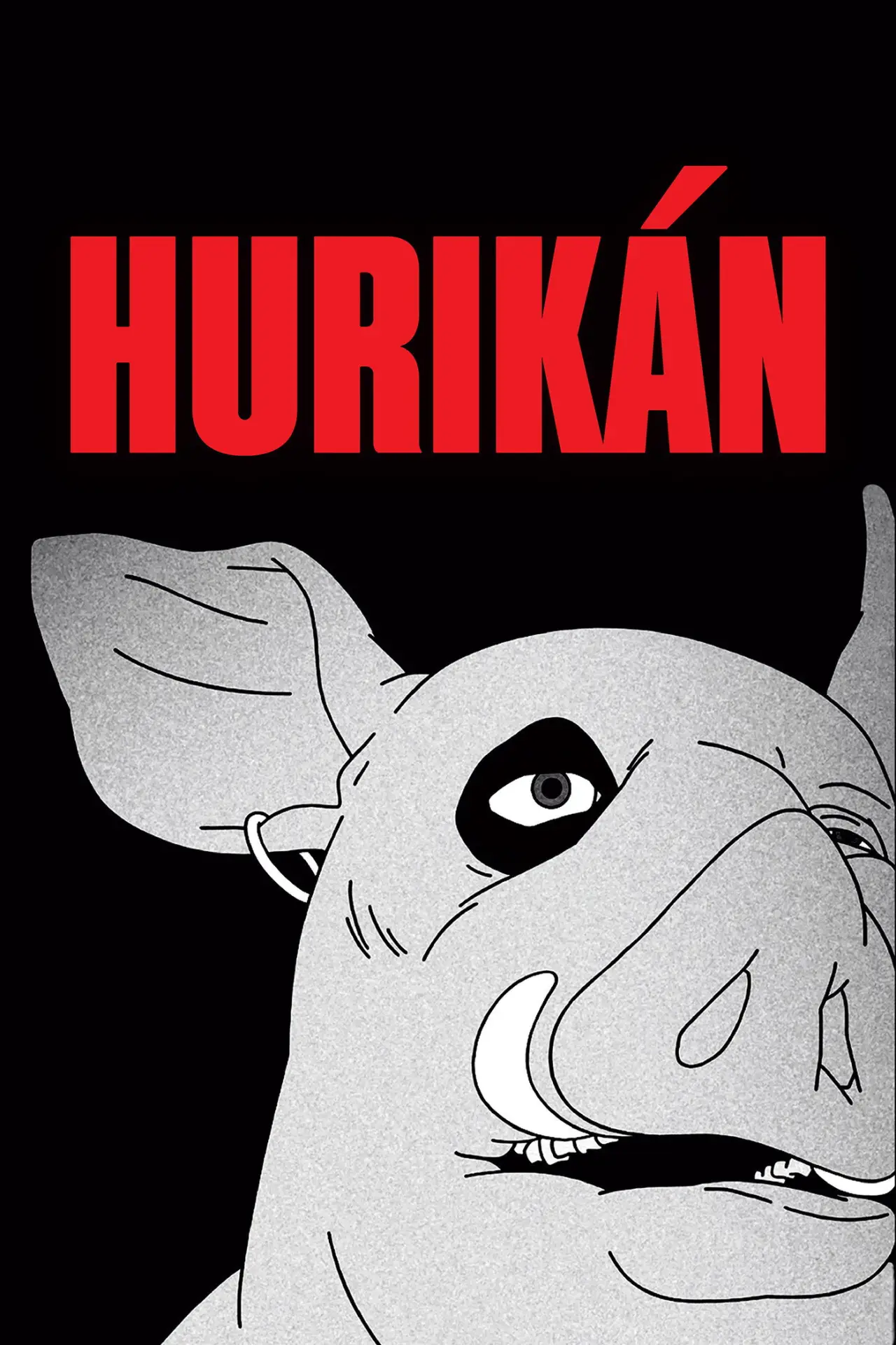 Постер к фильму "Hurikán"