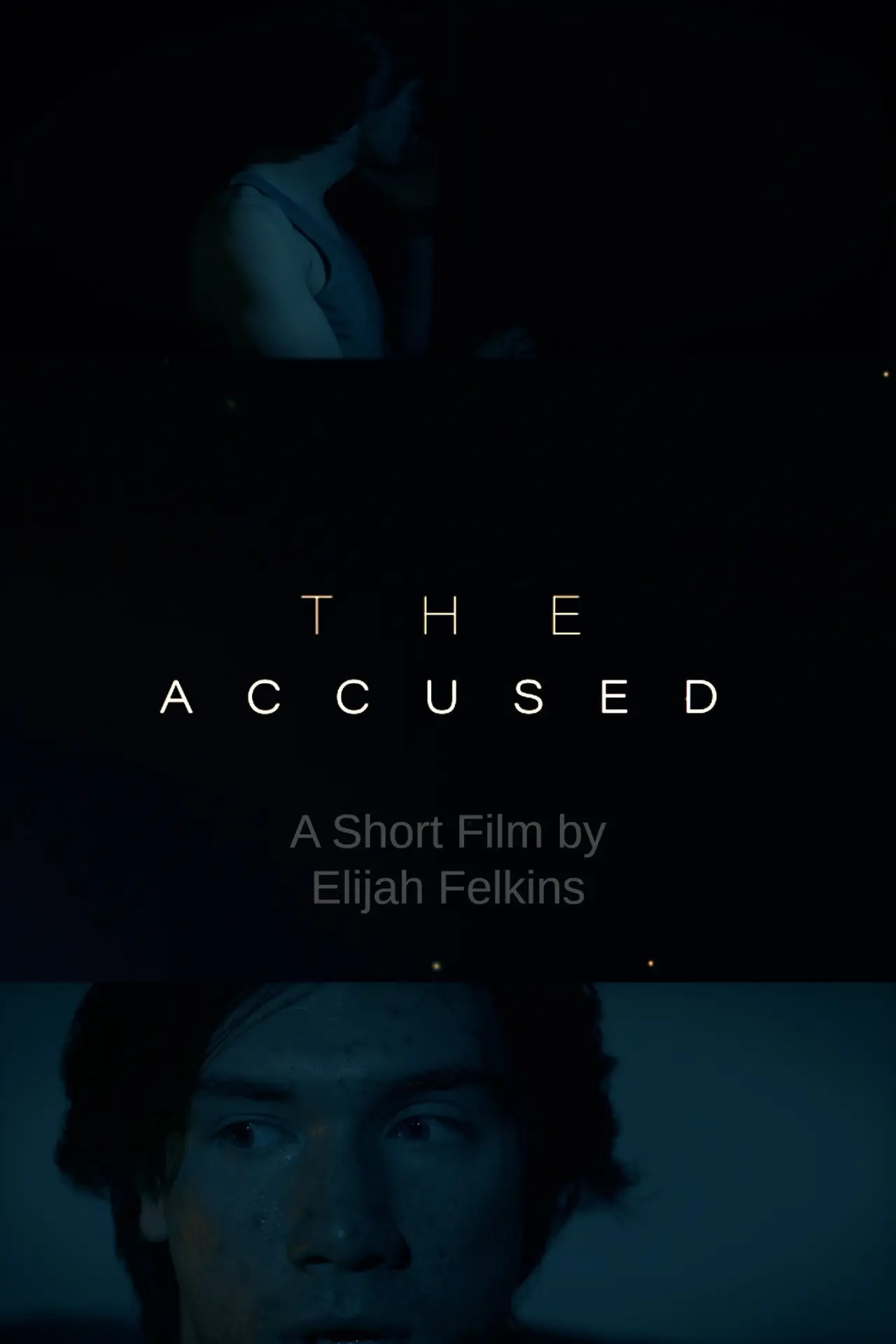 Постер к фильму "The Accused"