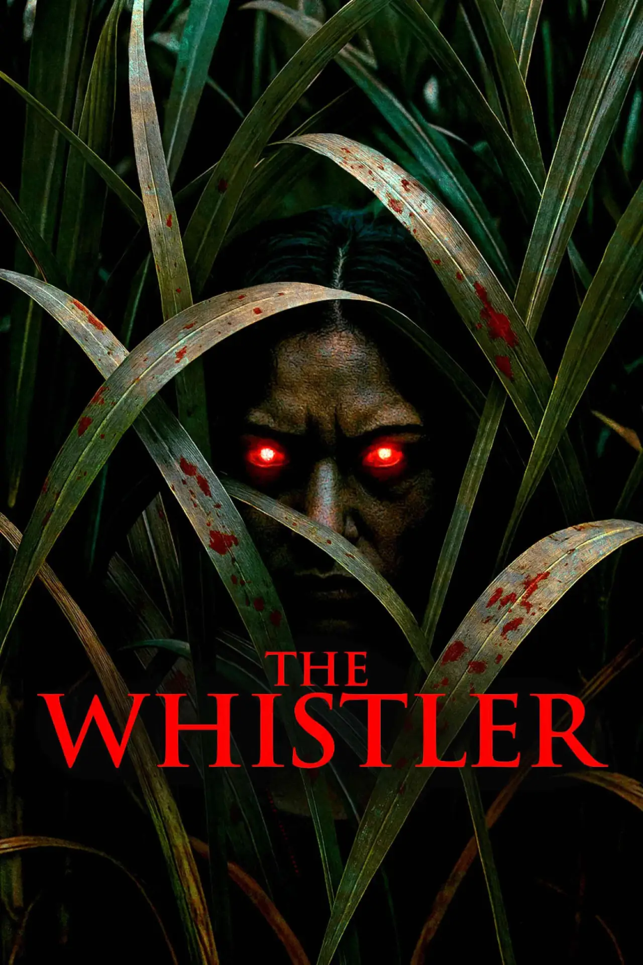 Постер к фильму "The Whistler"