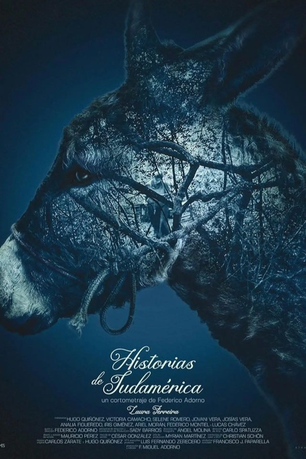 Постер к фильму "Historias de Sudamérica"