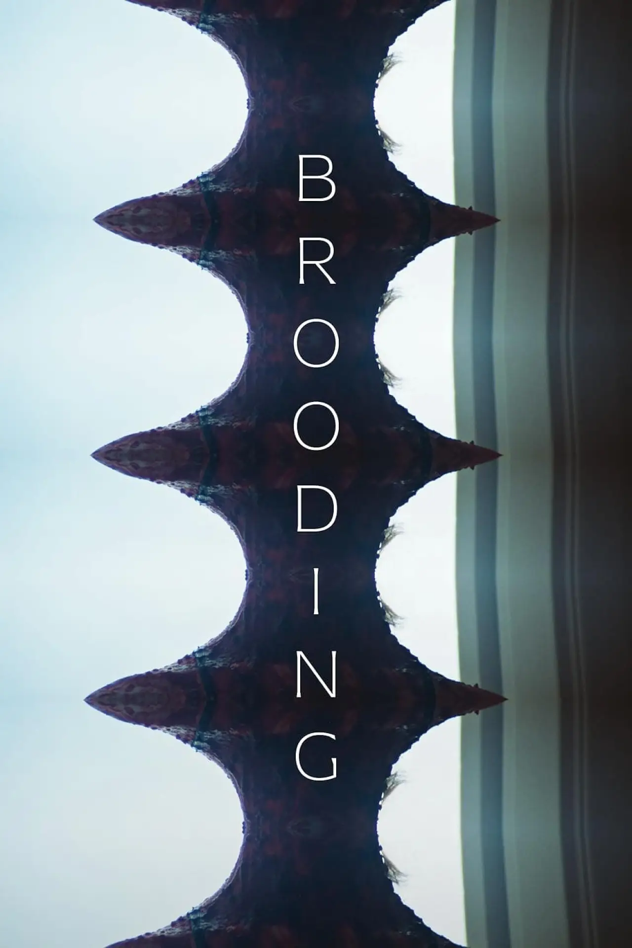 Постер к фильму "Brooding"