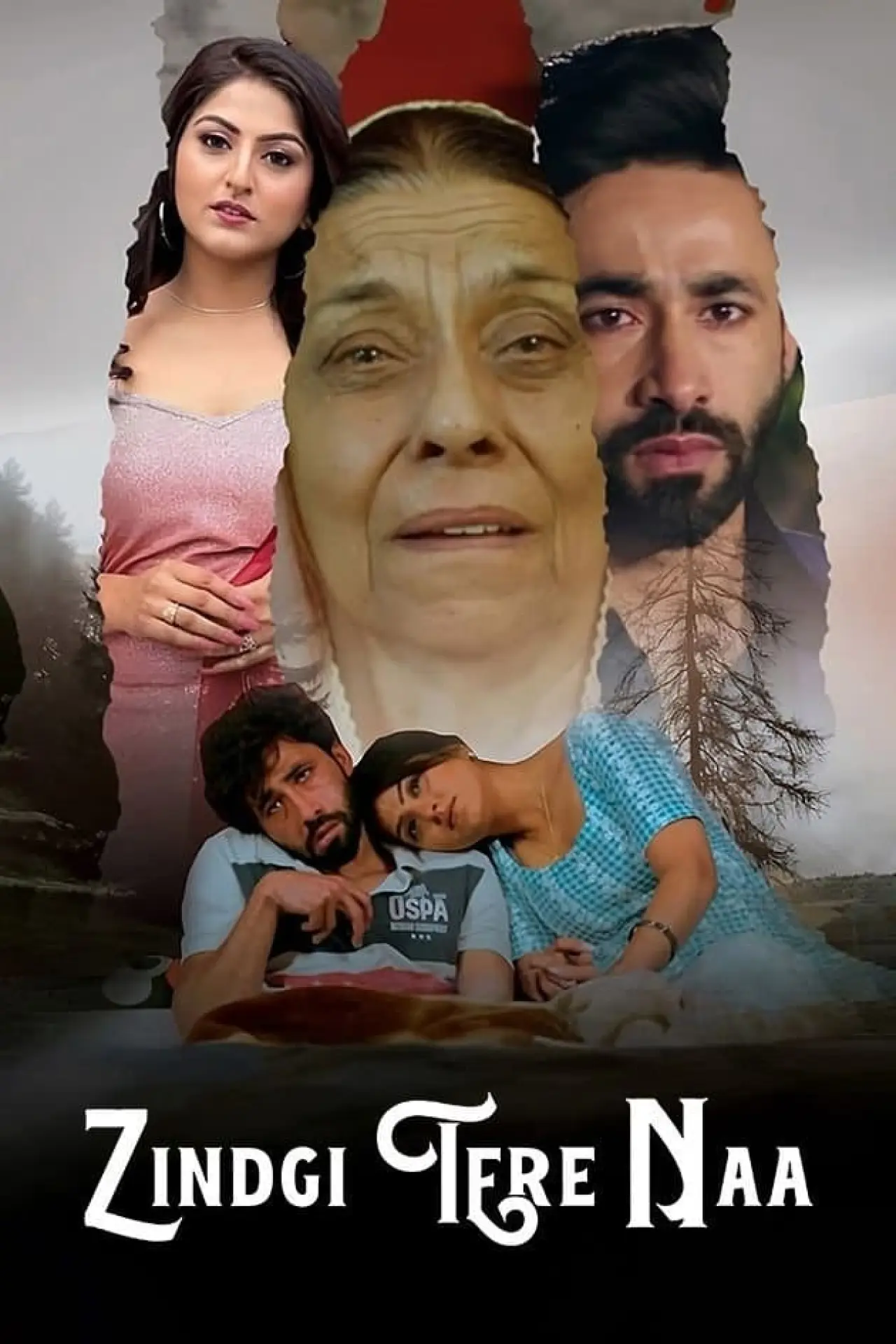Постер к фильму "Zindgi Tere Naa"