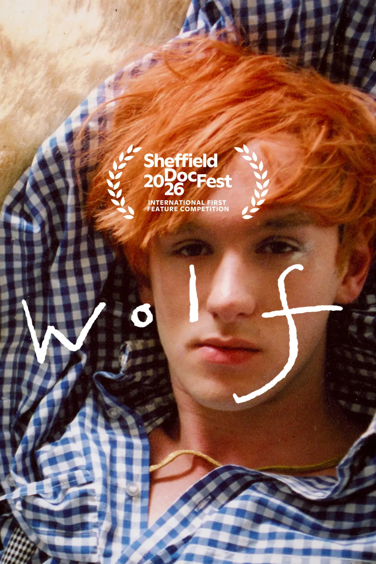 Постер к фильму "WOLF"