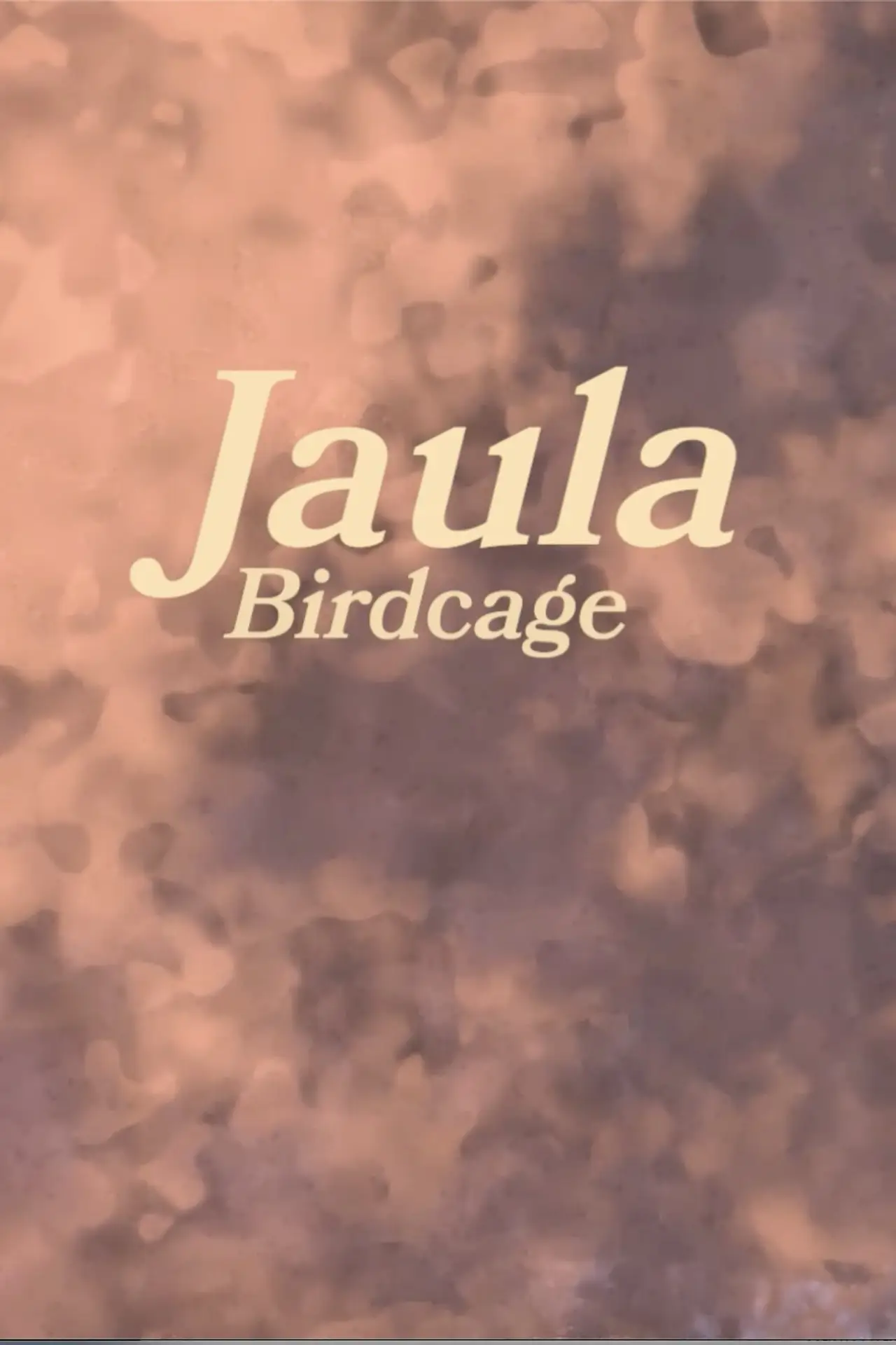 Постер к фильму "Jaula"
