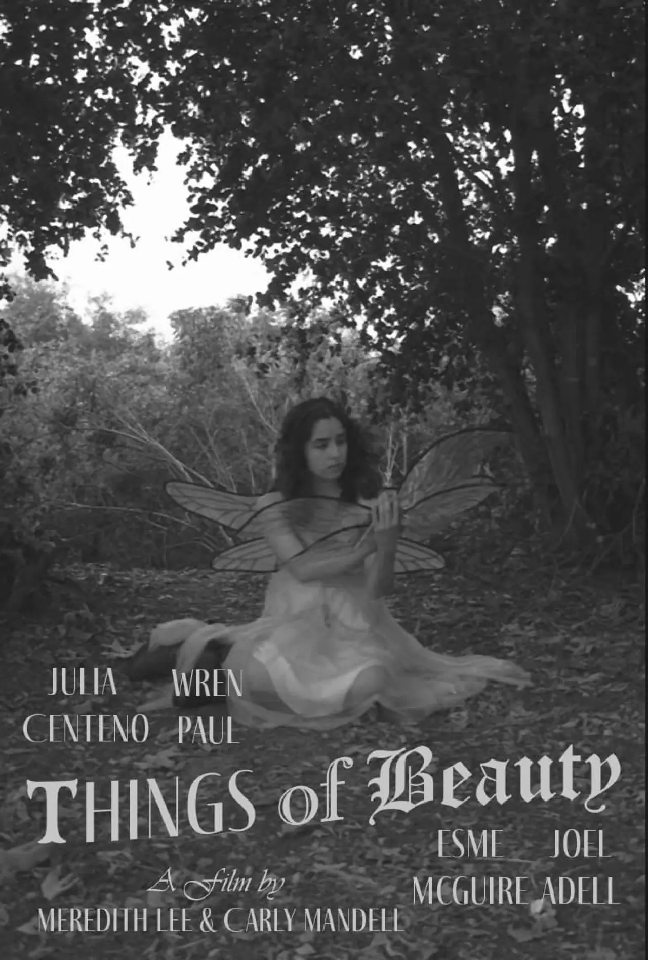 Постер к фильму "Things of Beauty"