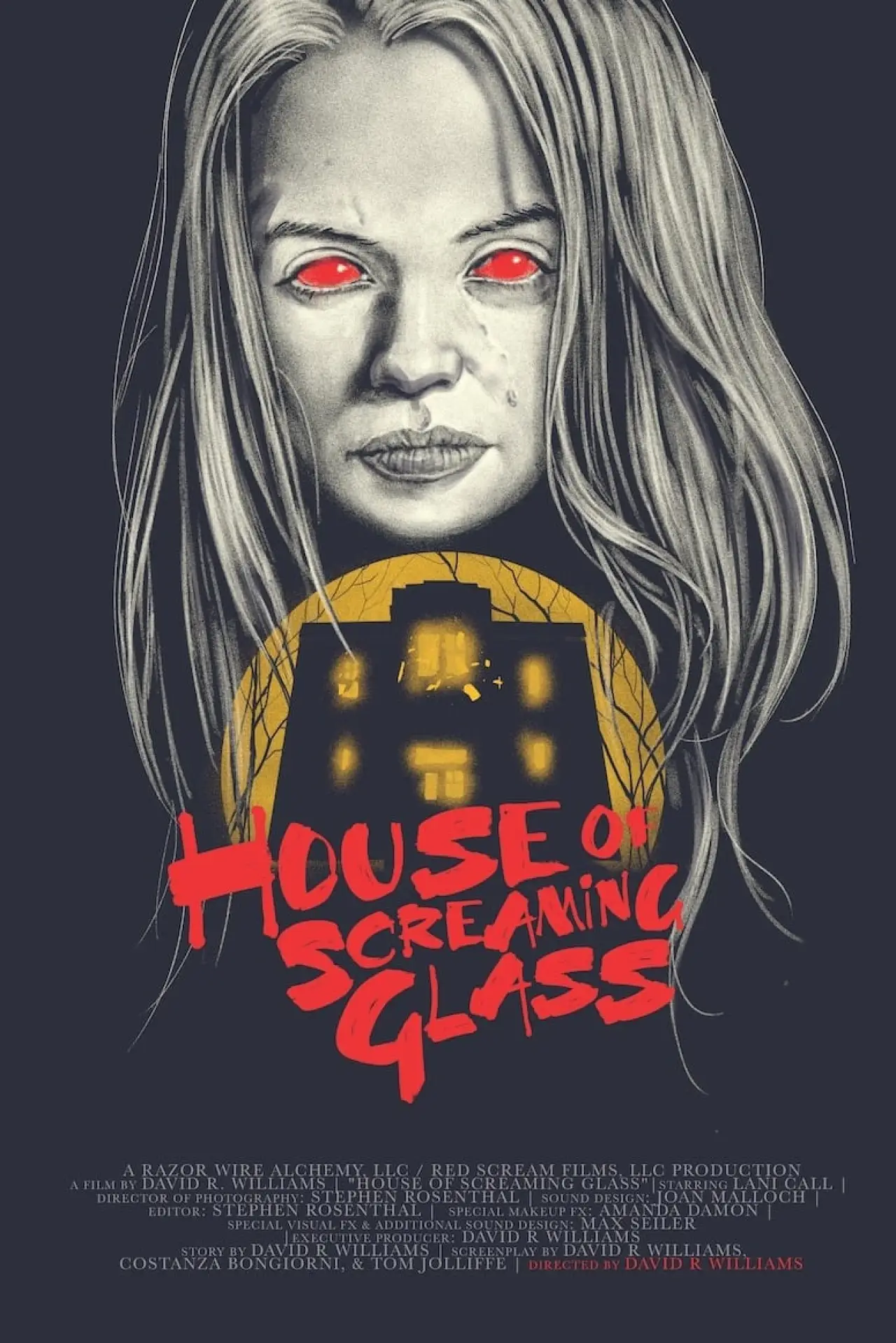 Постер к фильму "House of Screaming Glass"