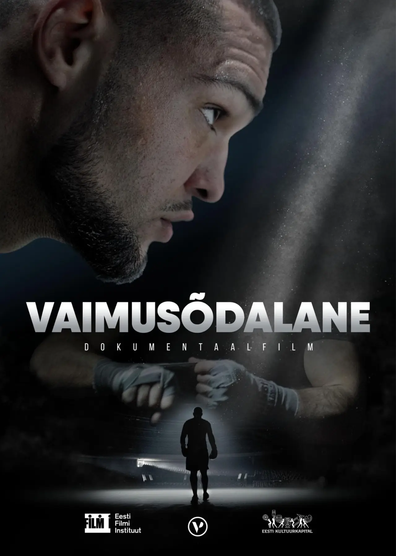 Постер к фильму "Vaimusõdalane"