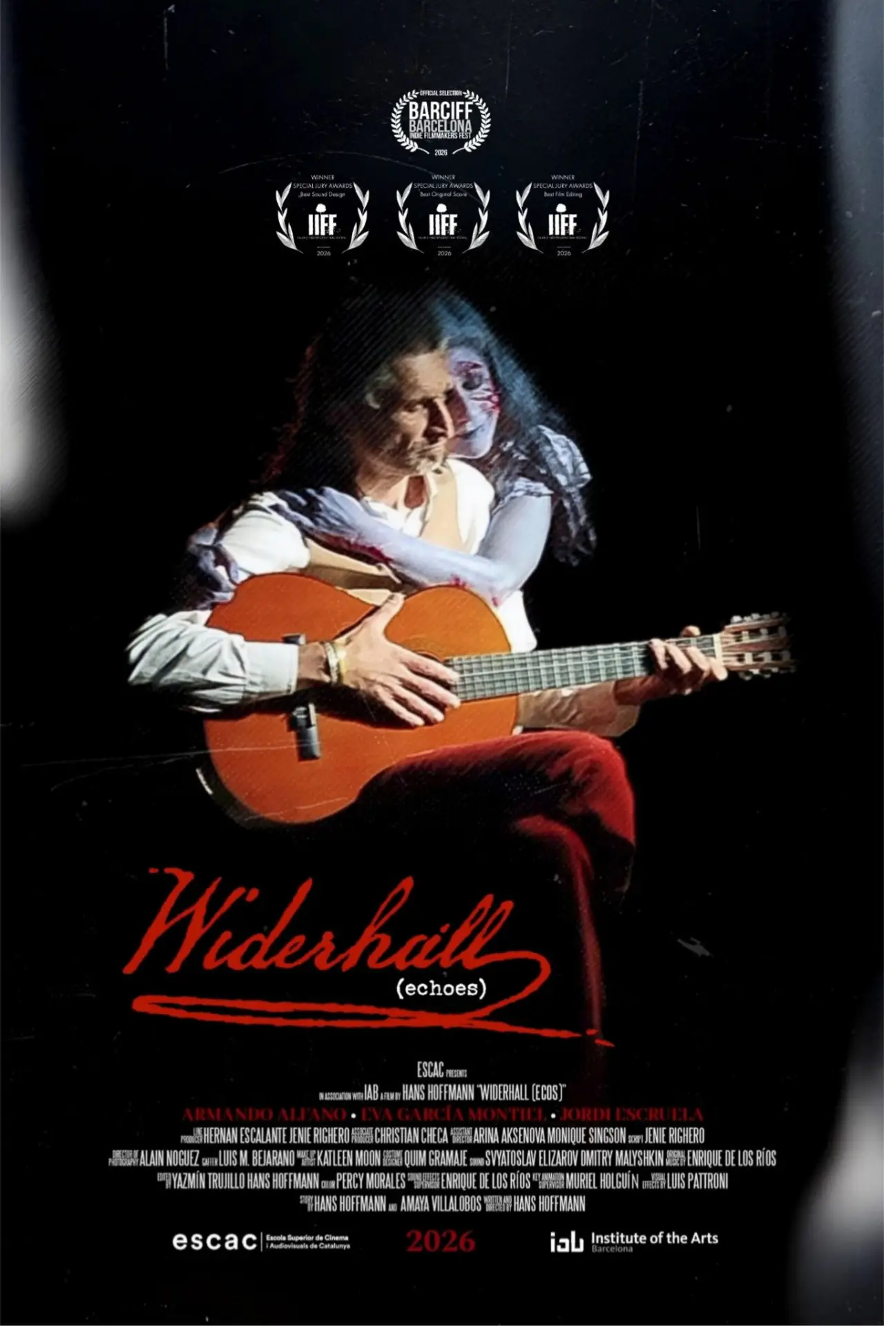 Постер к фильму "Widerhall"