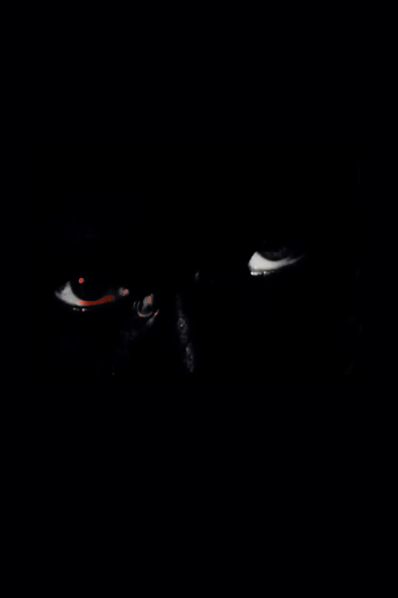 Постер к фильму "Projection"