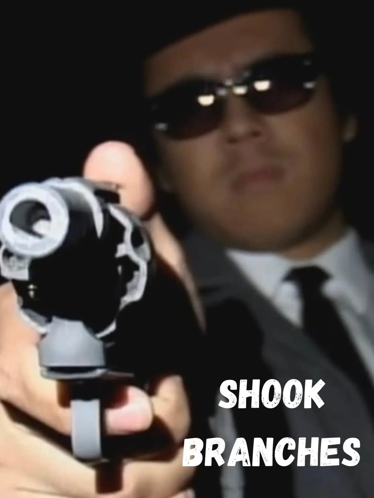 Постер к фильму "Shook Branches"