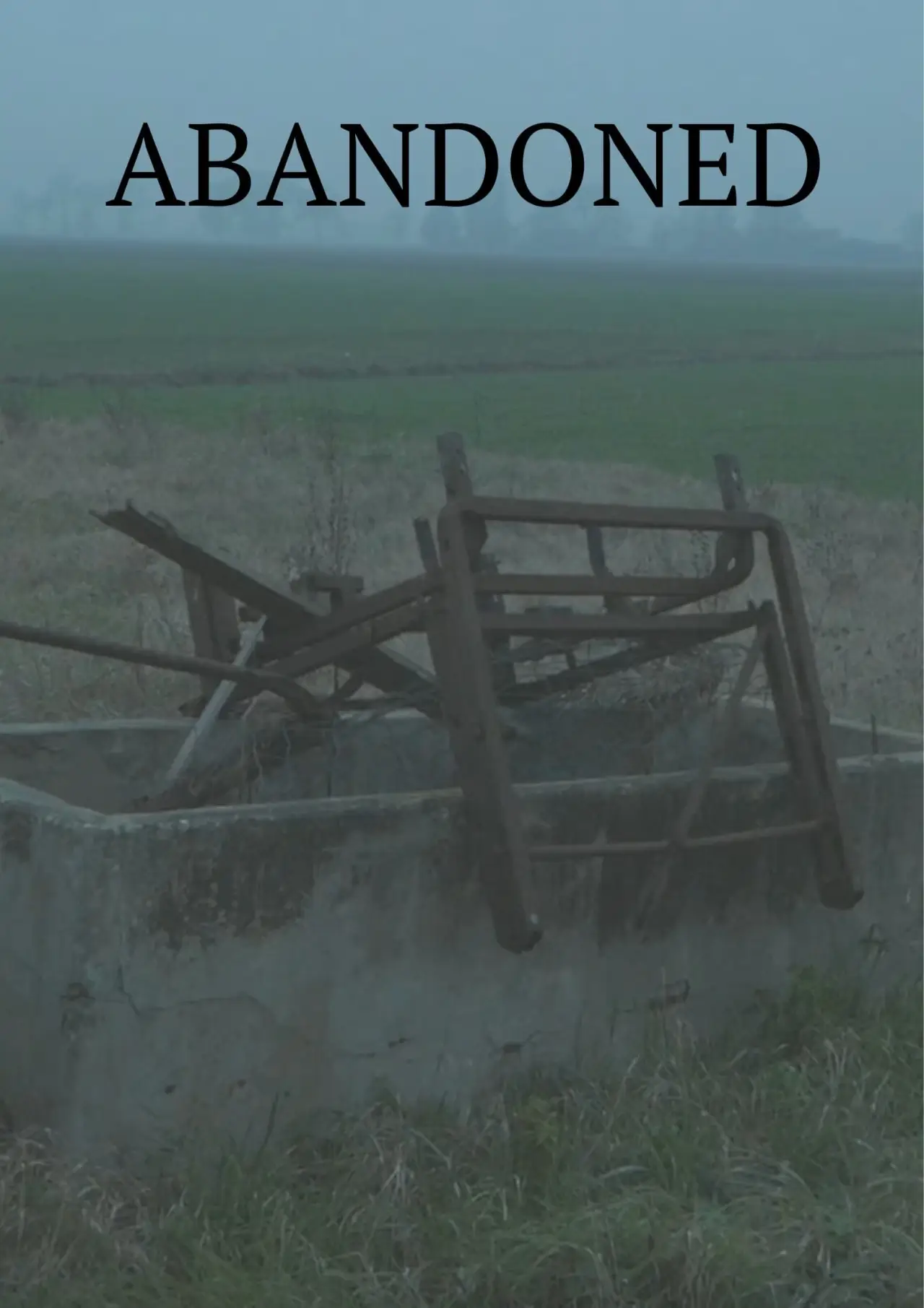 Постер к фильму "Abandoned"