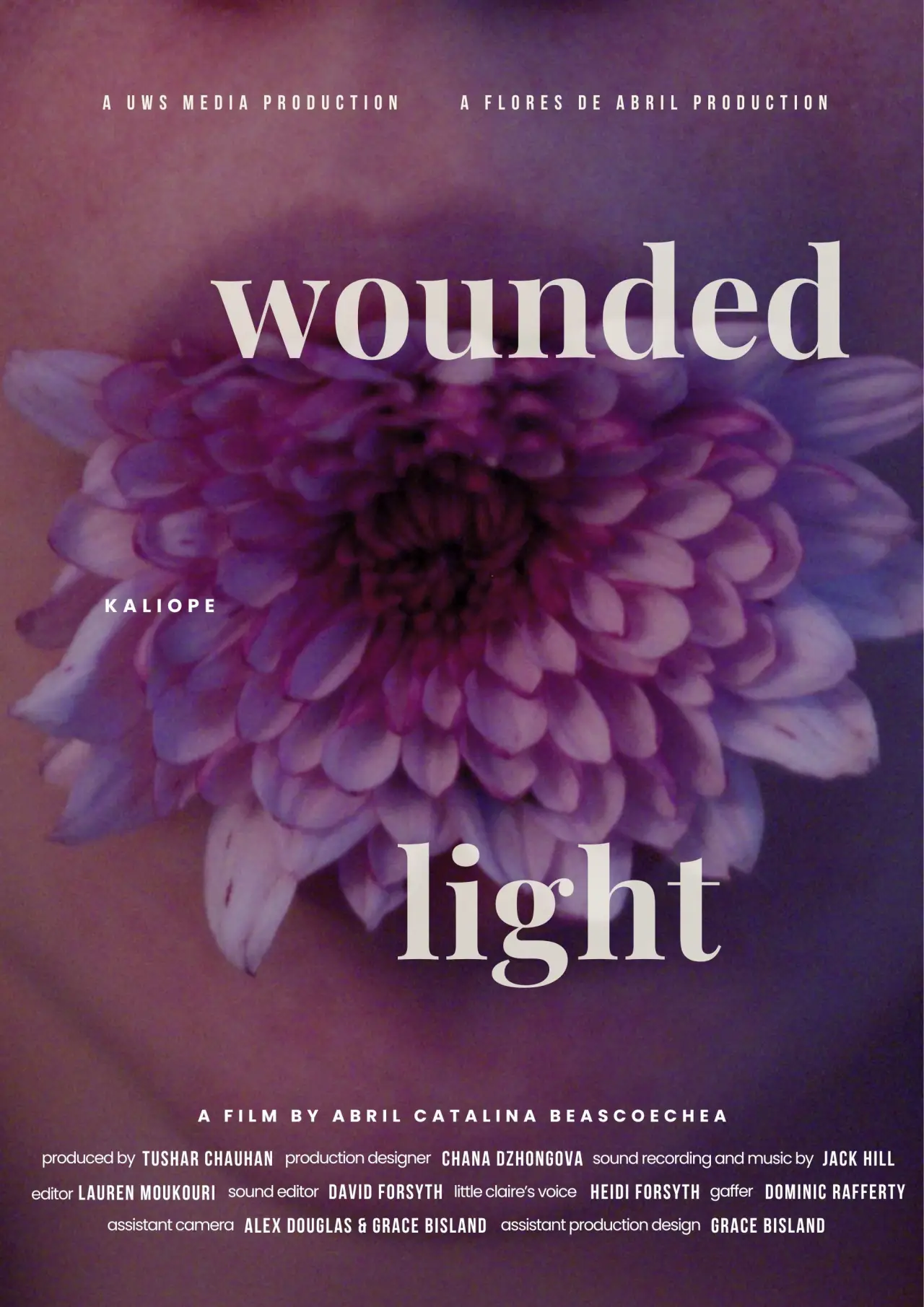 Постер к фильму "Wounded Light"
