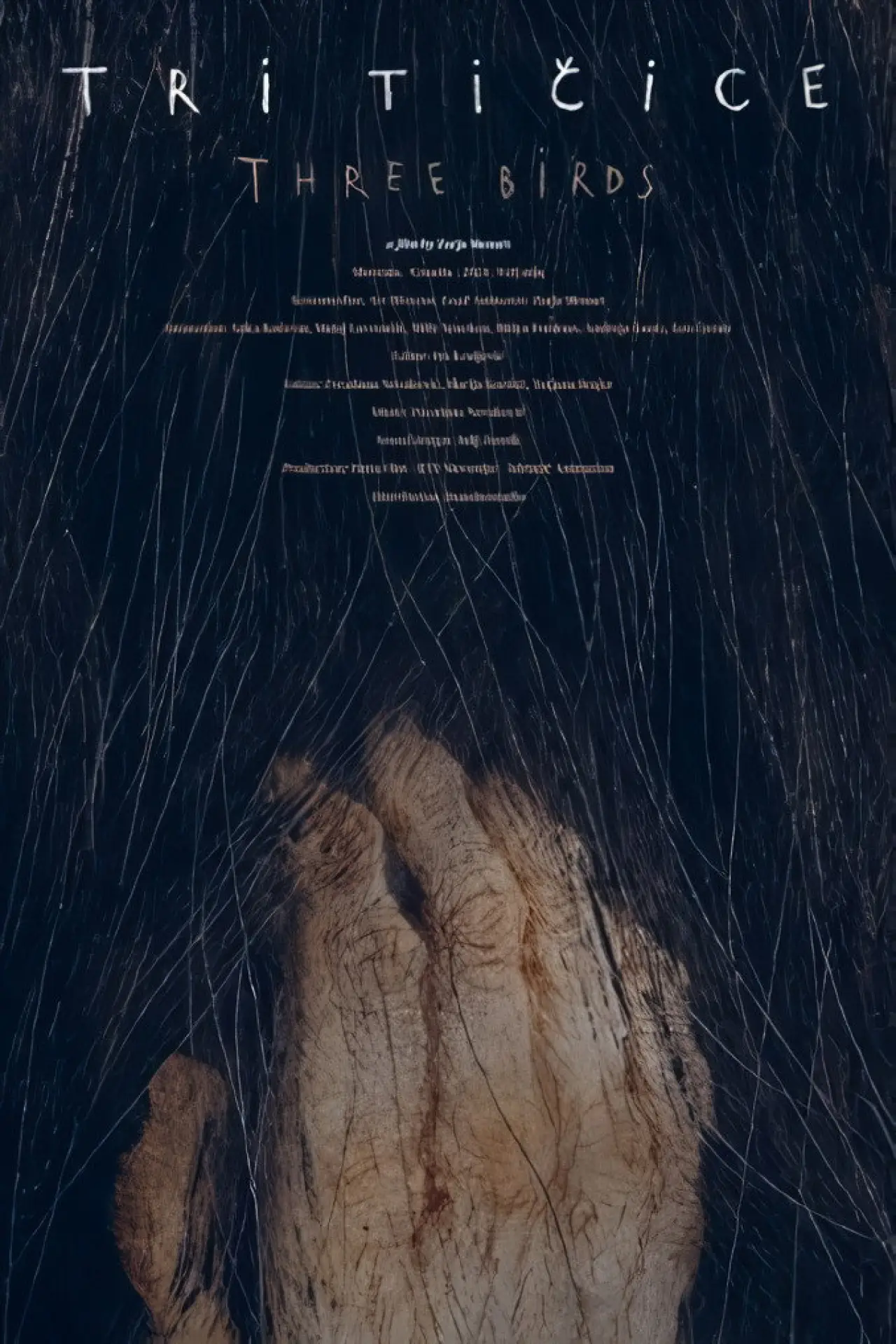 Постер к фильму "Tri tičice"