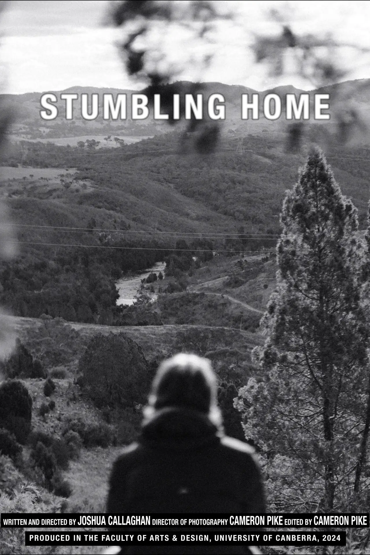 Постер к фильму "Stumbling Home"
