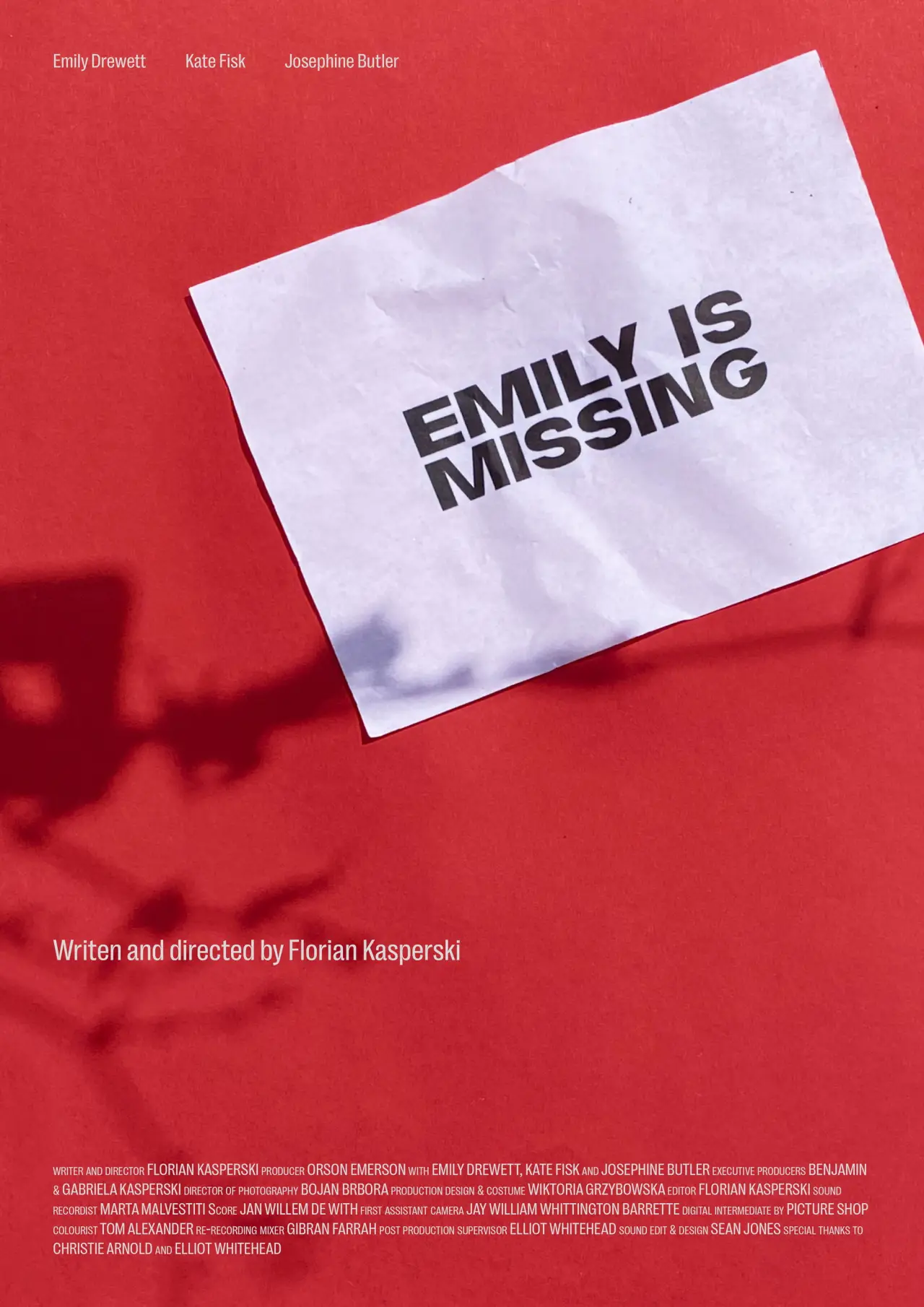 Постер к фильму "Emily is Missing"