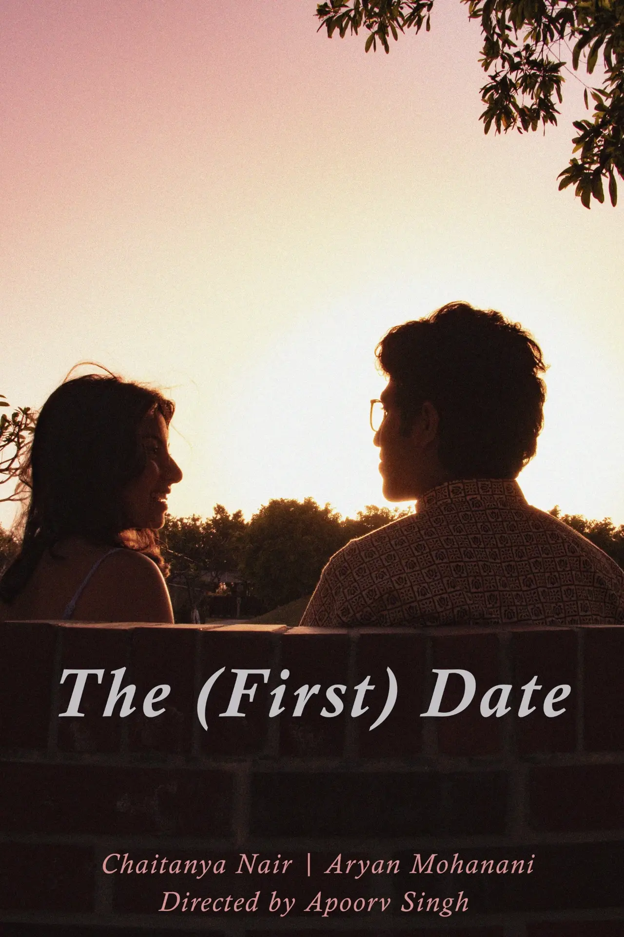 Постер к фильму "The (First) Date"