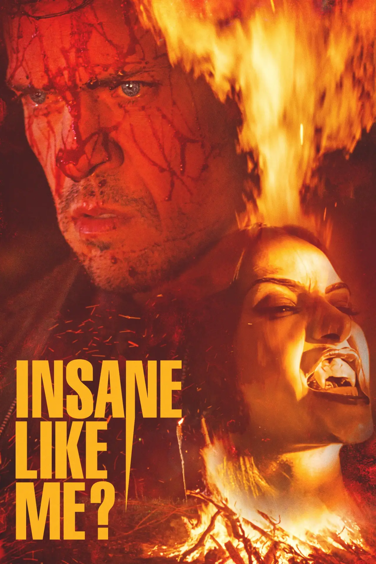 Постер к фильму "Insane Like Me?"