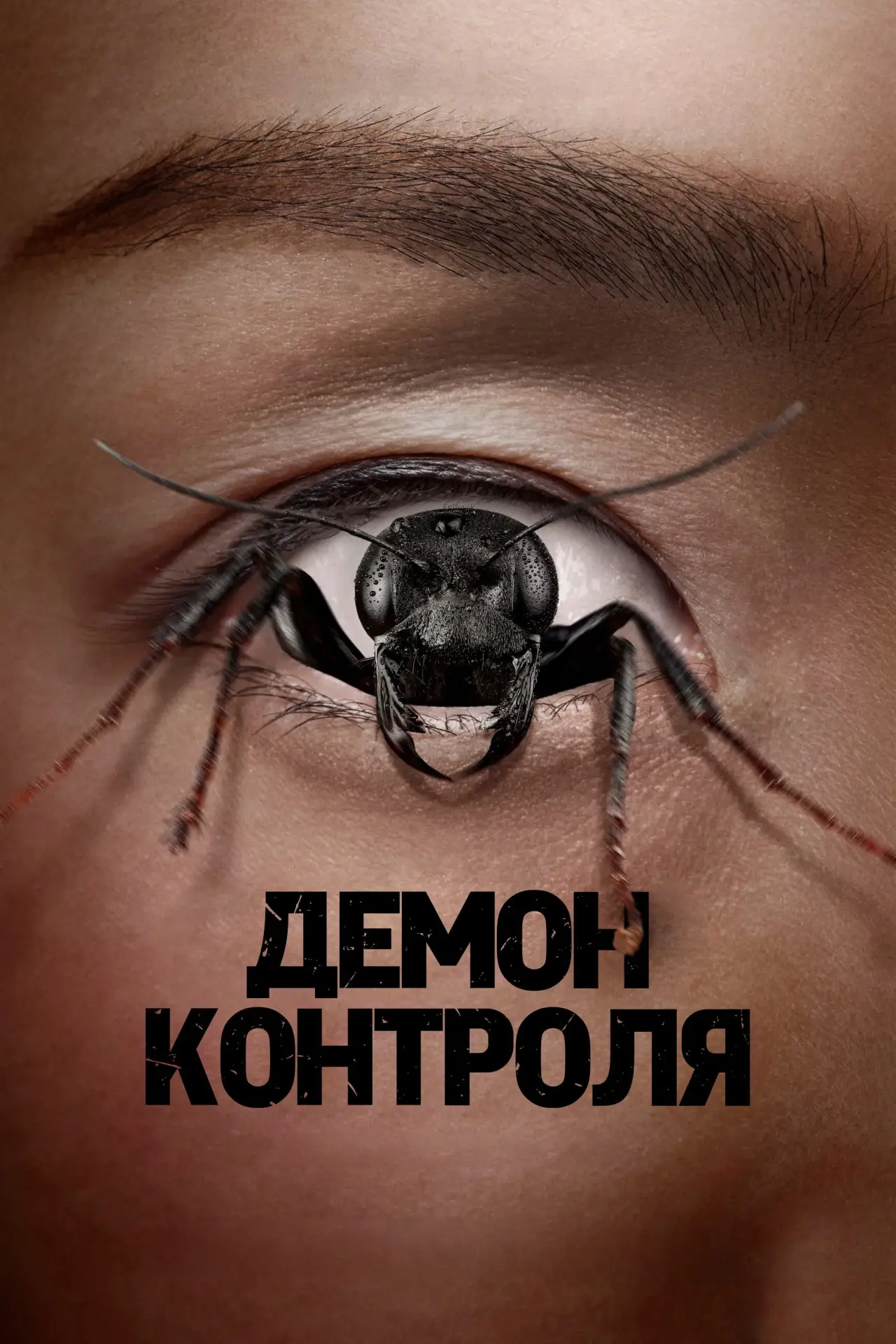 Постер к фильму "Демон контроля"