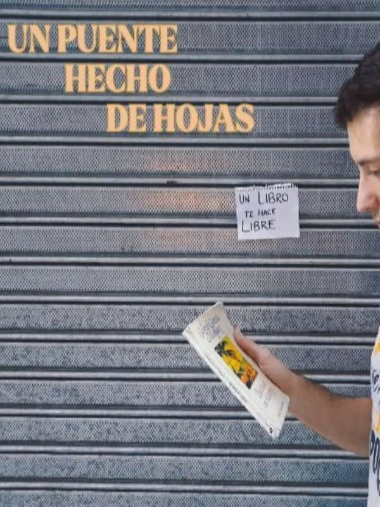 Постер к фильму "Un puente hecho de hojas"