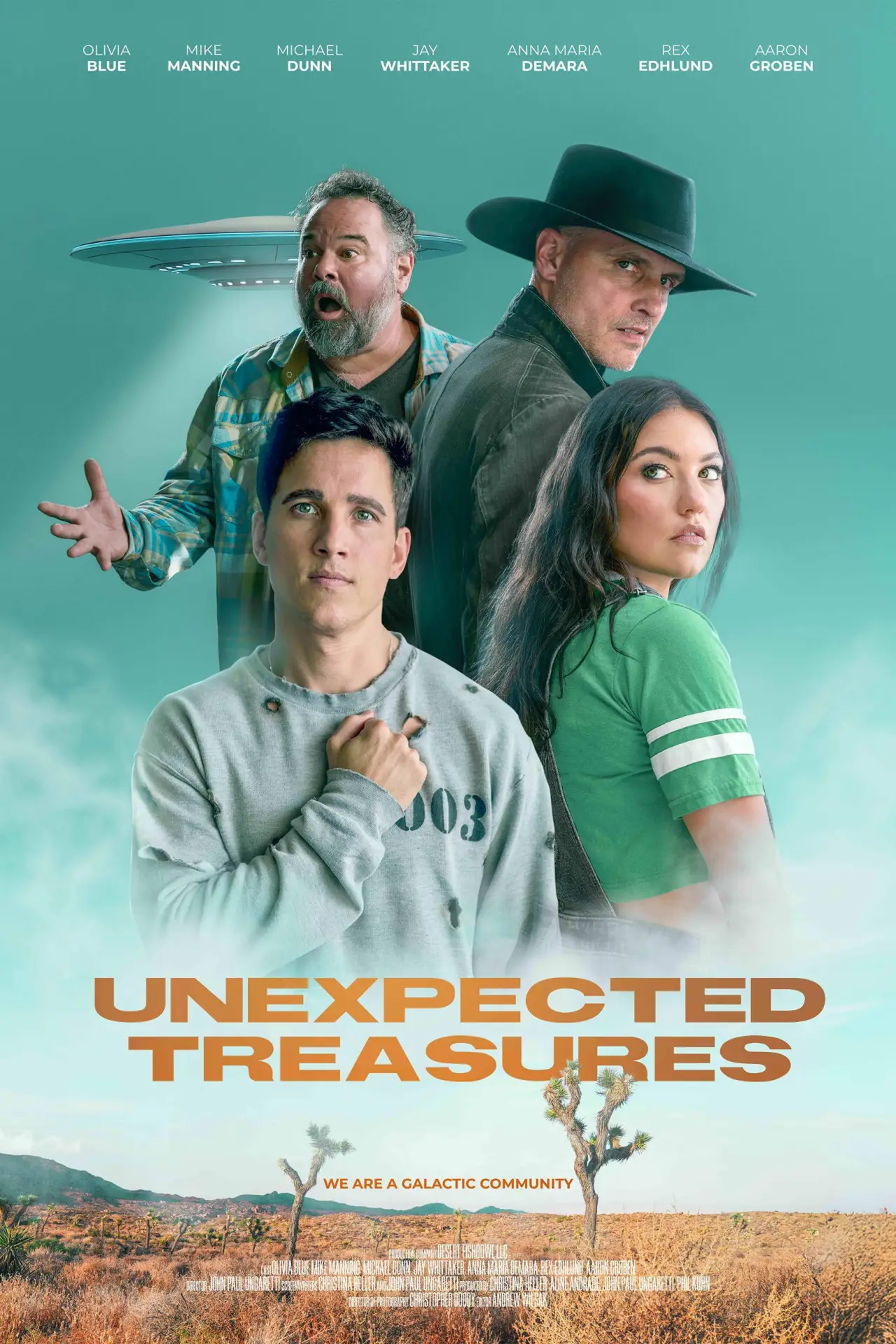 Постер к фильму "Unexpected Treasures"