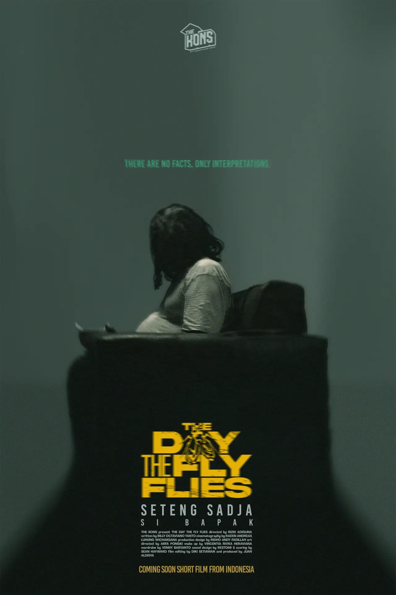 Постер к фильму "The Day The Fly Flies"