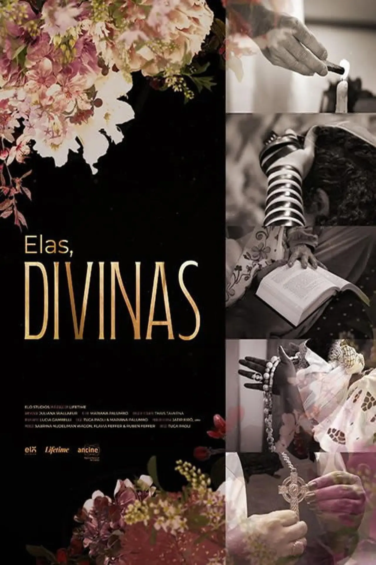 Постер к фильму "Elas, Divinas"