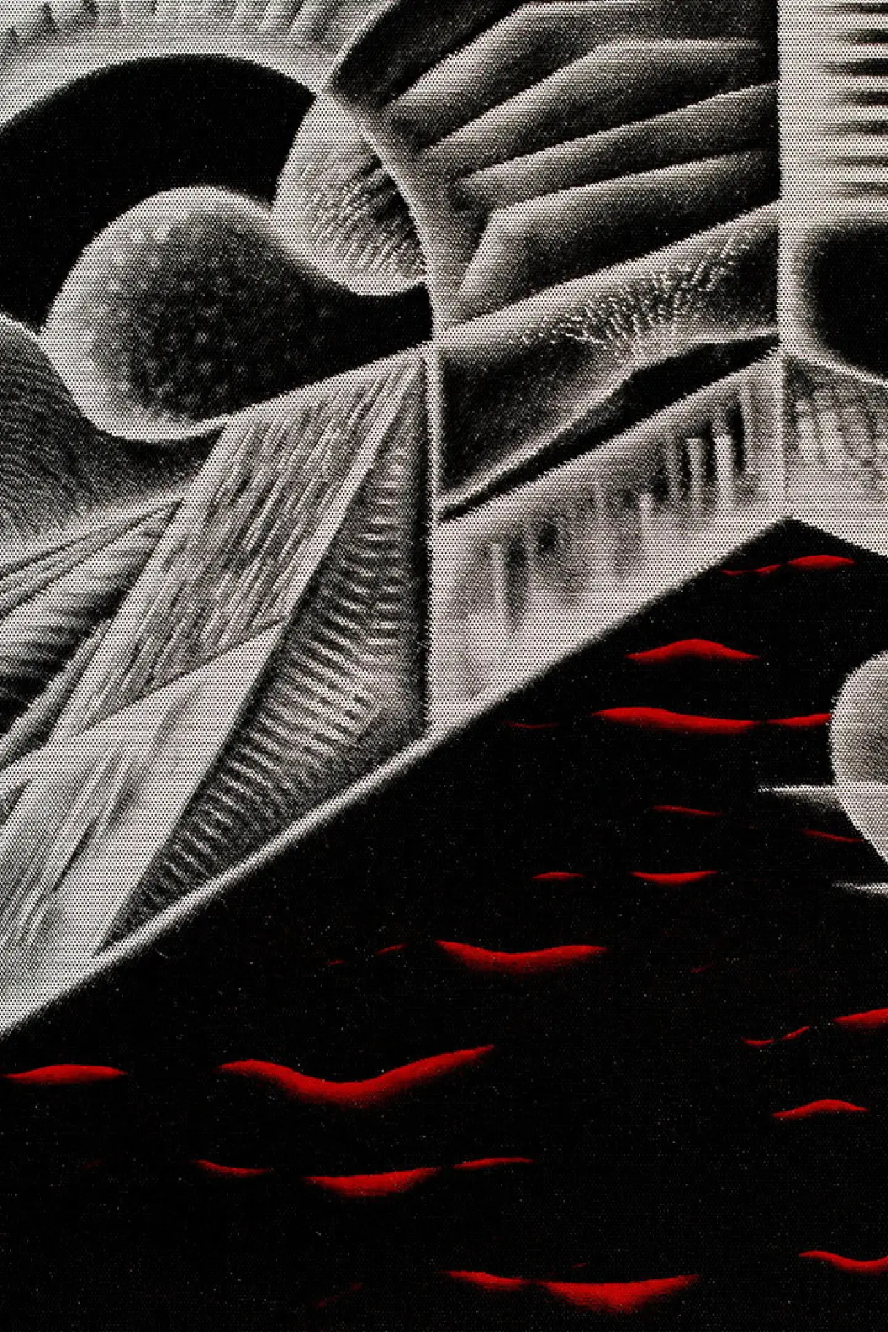 Постер к фильму "Contradiction of Emptiness"