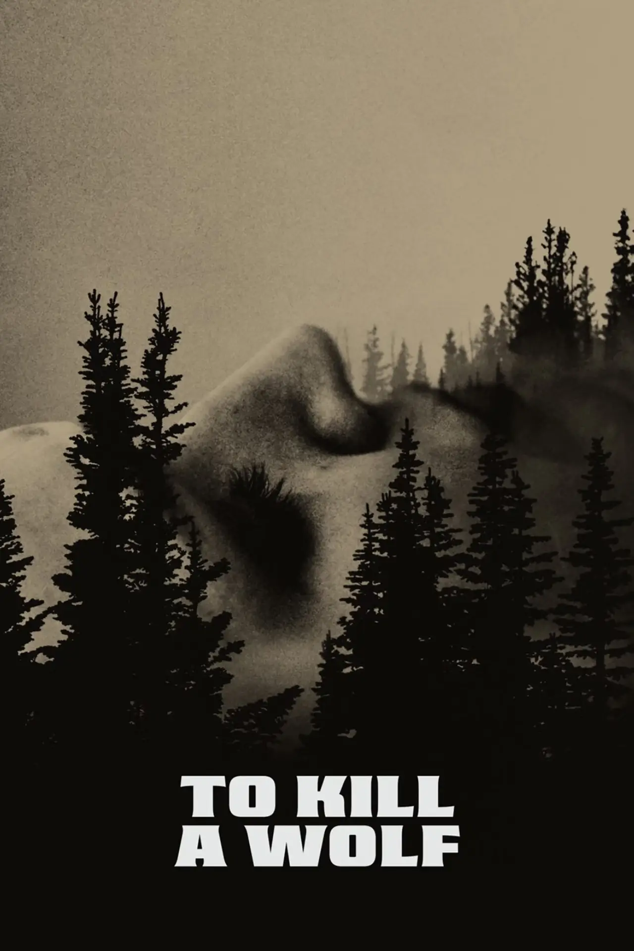 Постер к фильму "To Kill a Wolf"