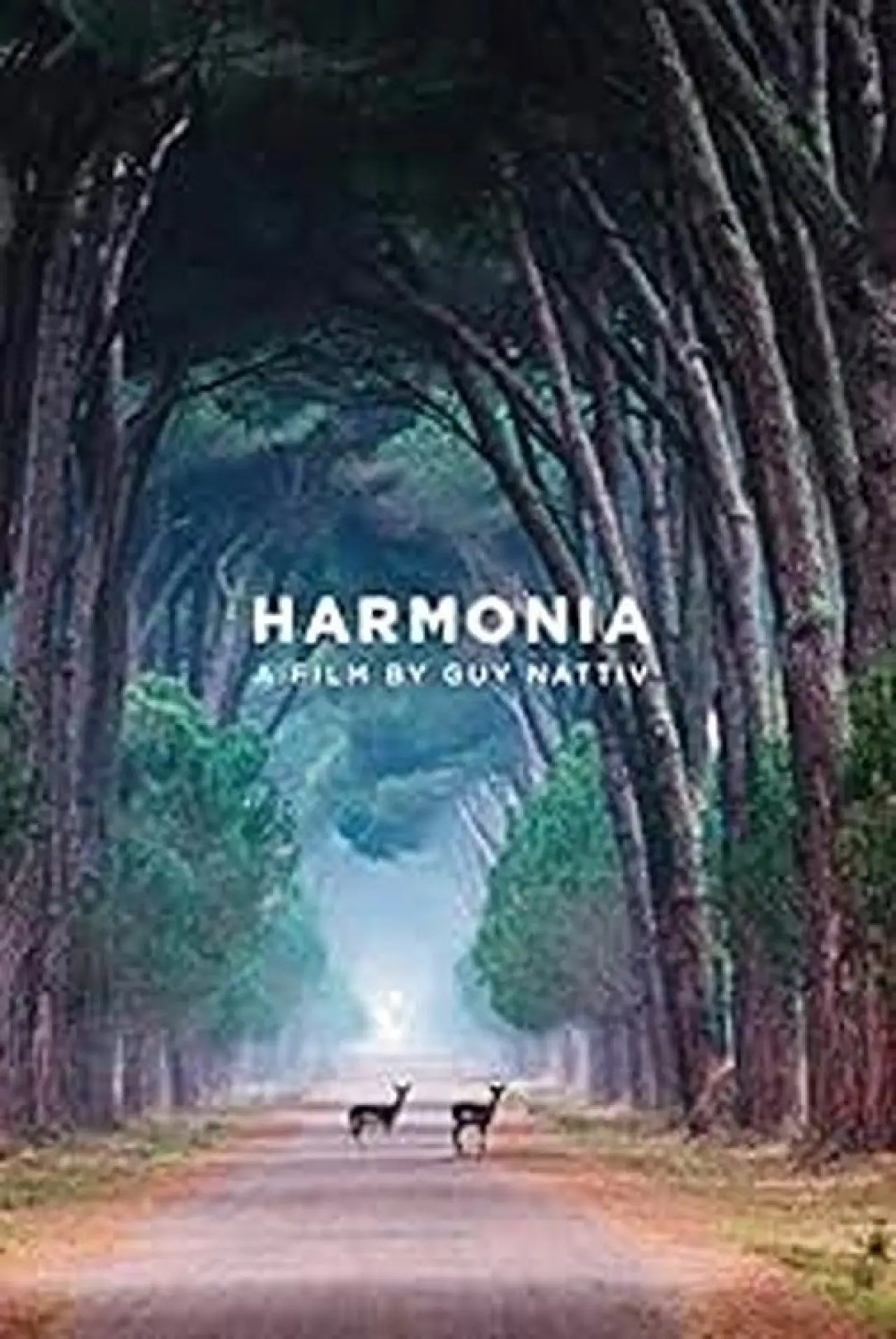 Постер к фильму "Harmonia"
