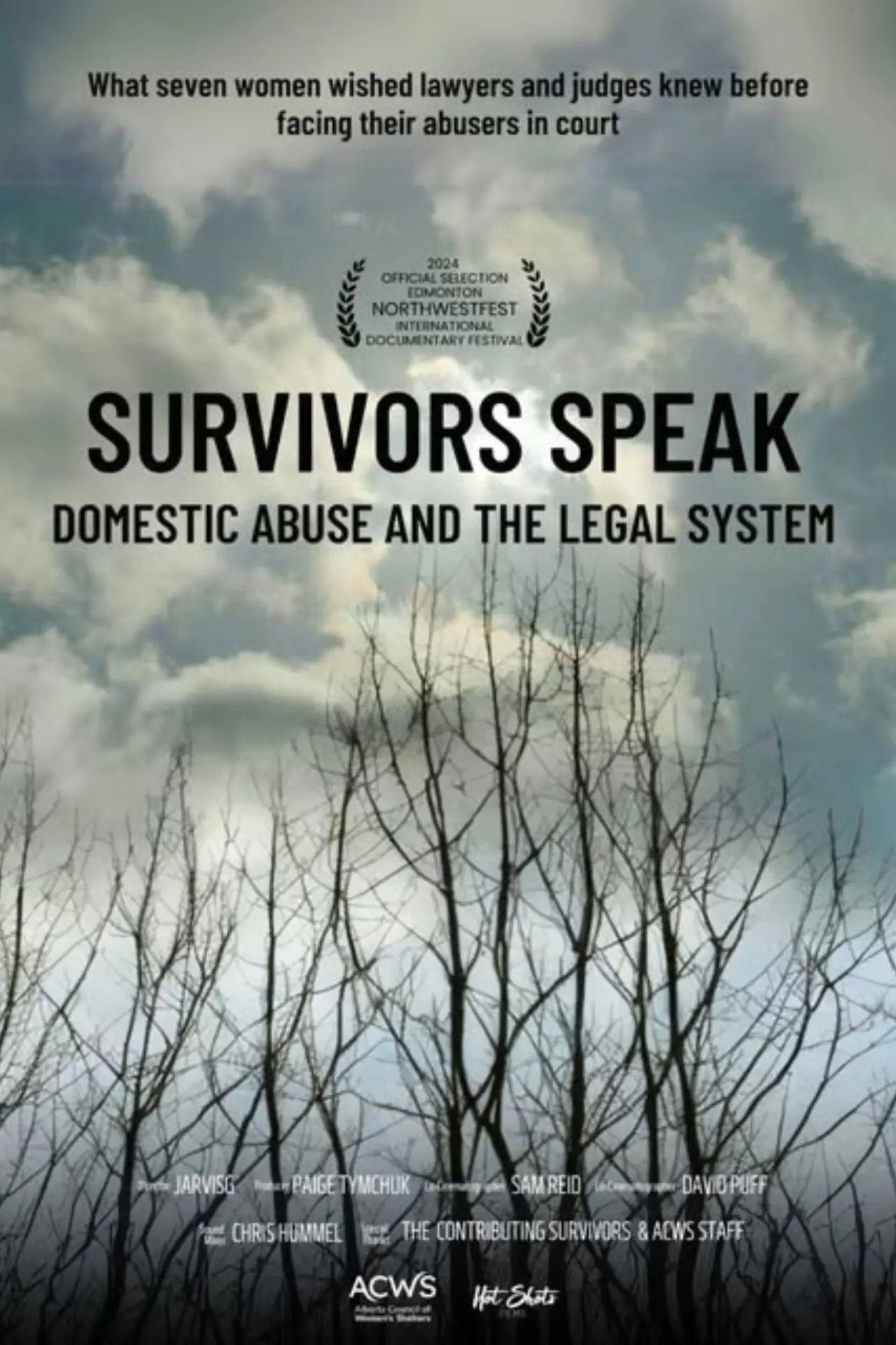 Постер к фильму "Survivors Speak: Domestic Abuse & the Legal System"