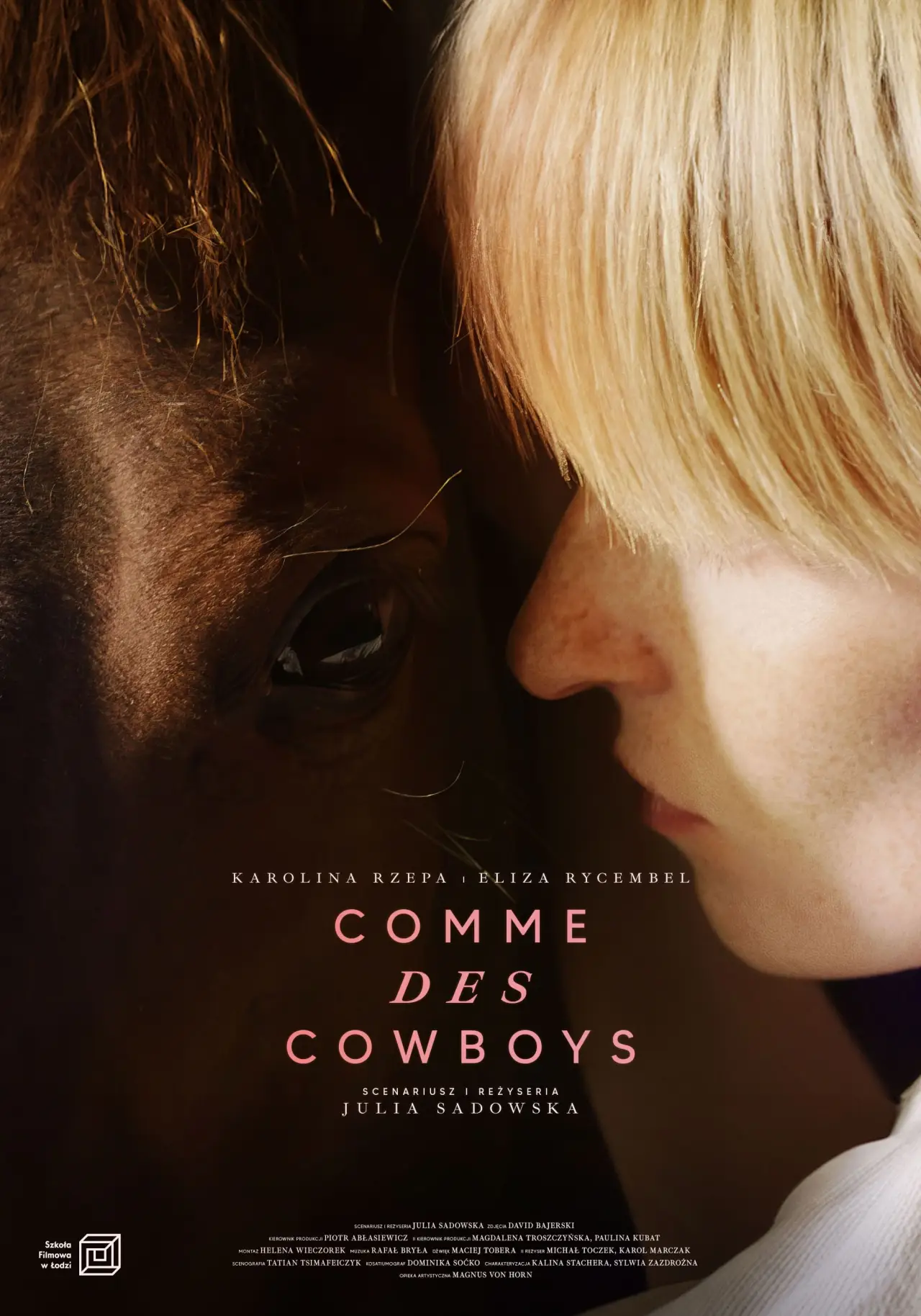 Постер к фильму "Comme des cowboys"
