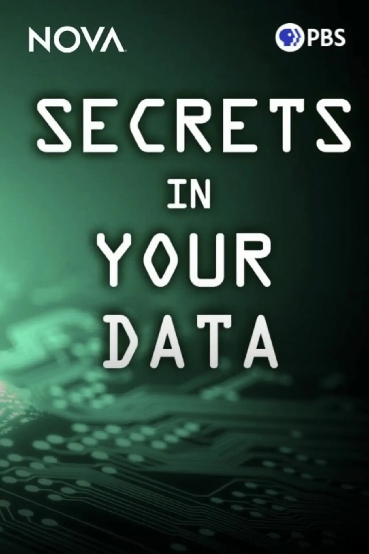 Постер к фильму "Secrets in Your Data"