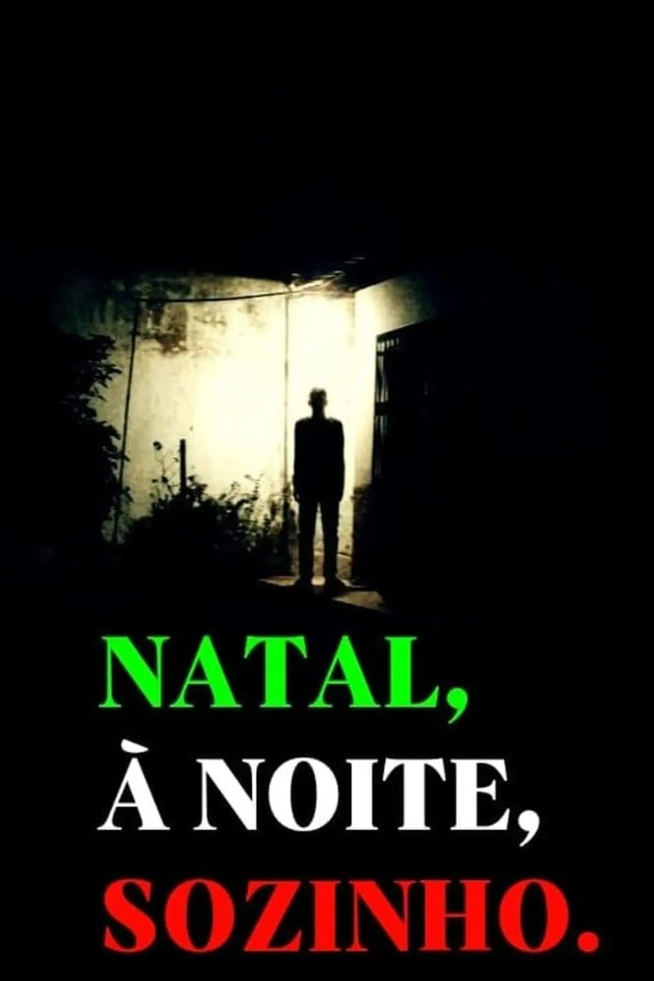 Постер к фильму "Natal, à Noite, Sozinho"