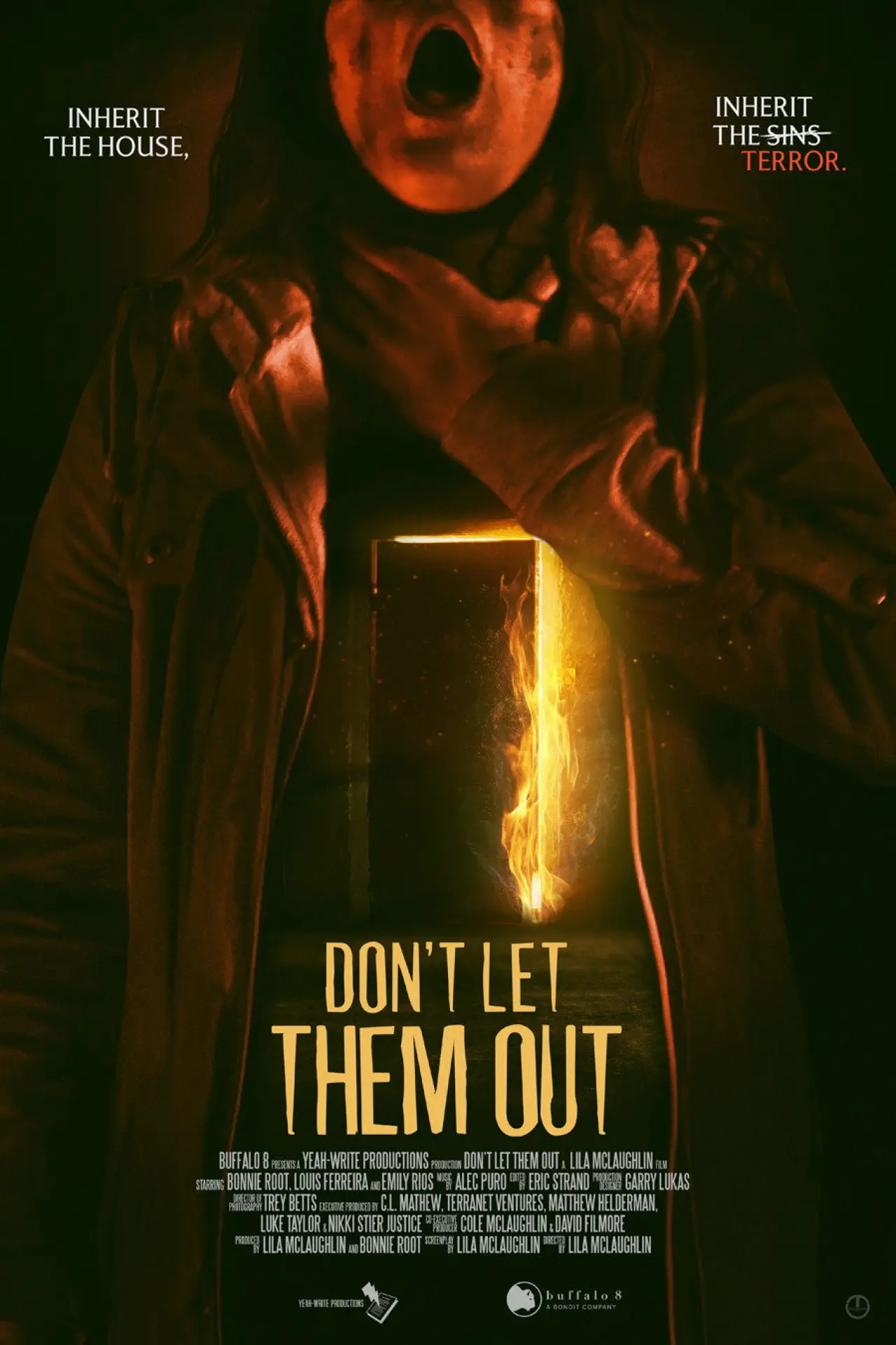 Постер к фильму "Don