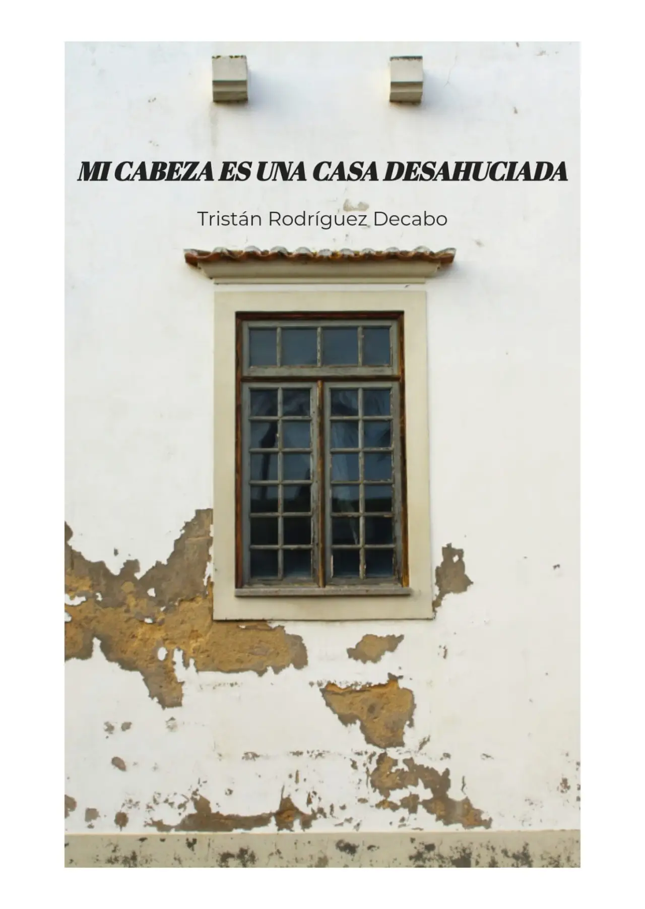 Постер к фильму "Mi cabeza es una casa desahuciada"